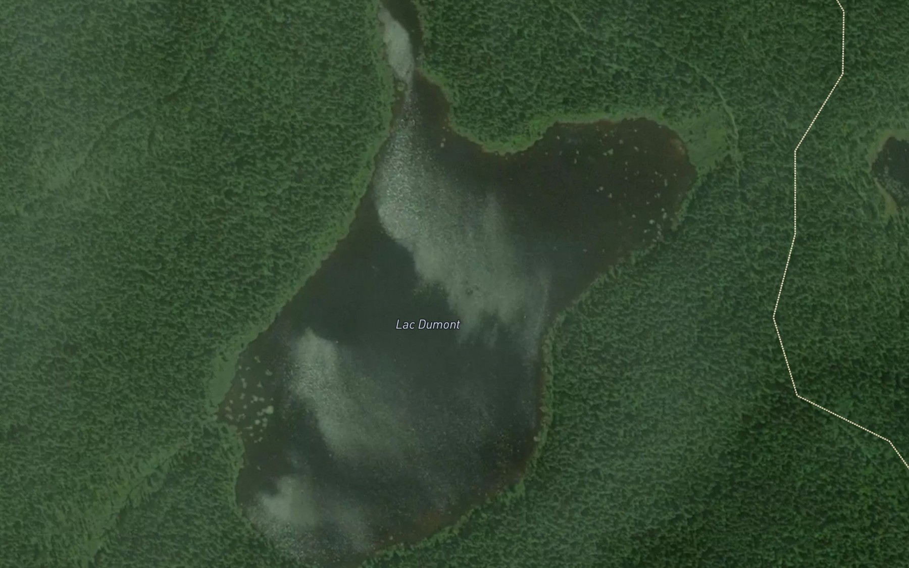 Satellite map of the Lac Dumont