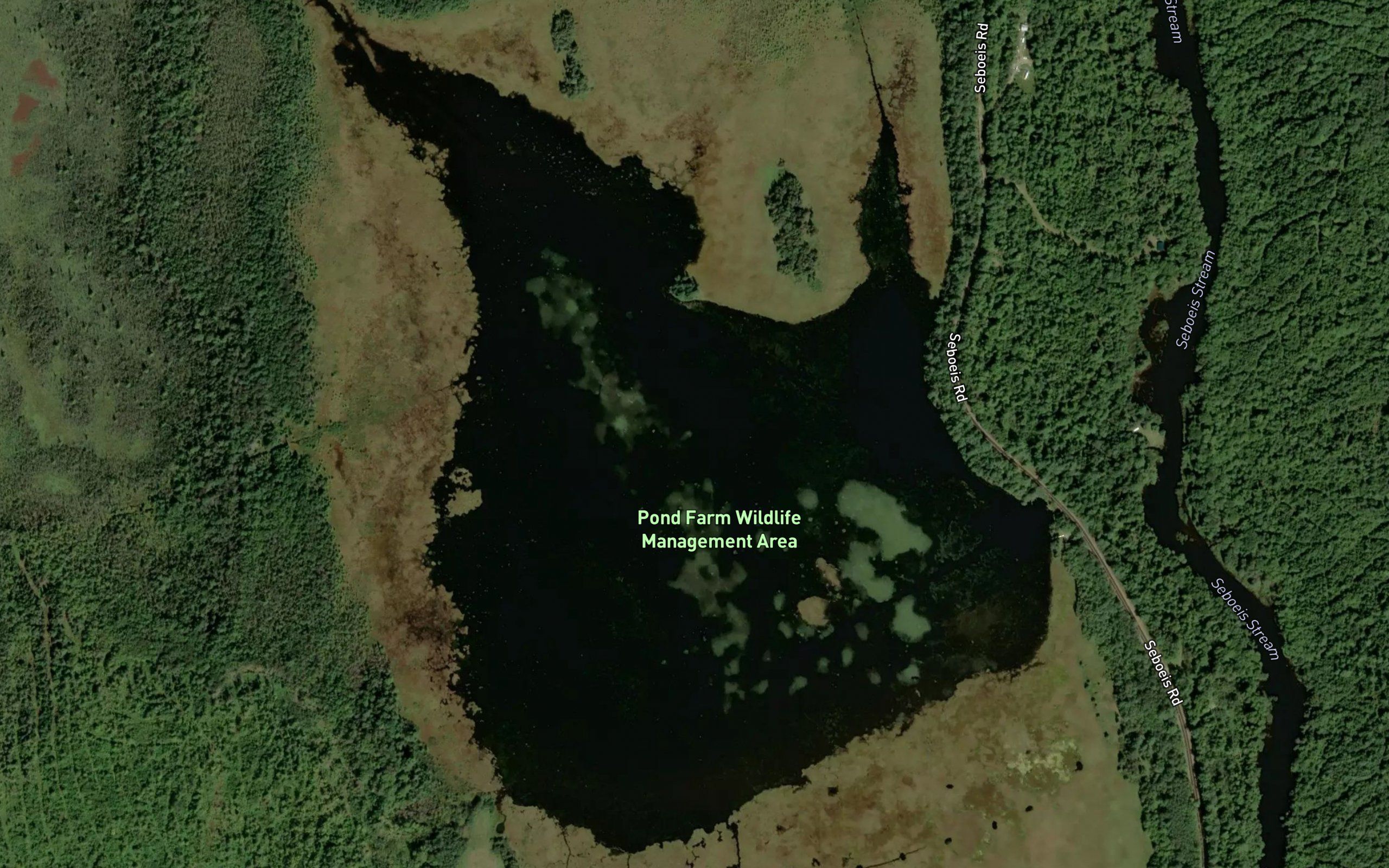 Pond Farm Pond
