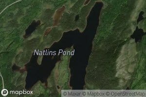 Natlins Pond