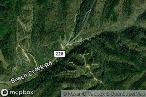 Left Prong Smith Branch