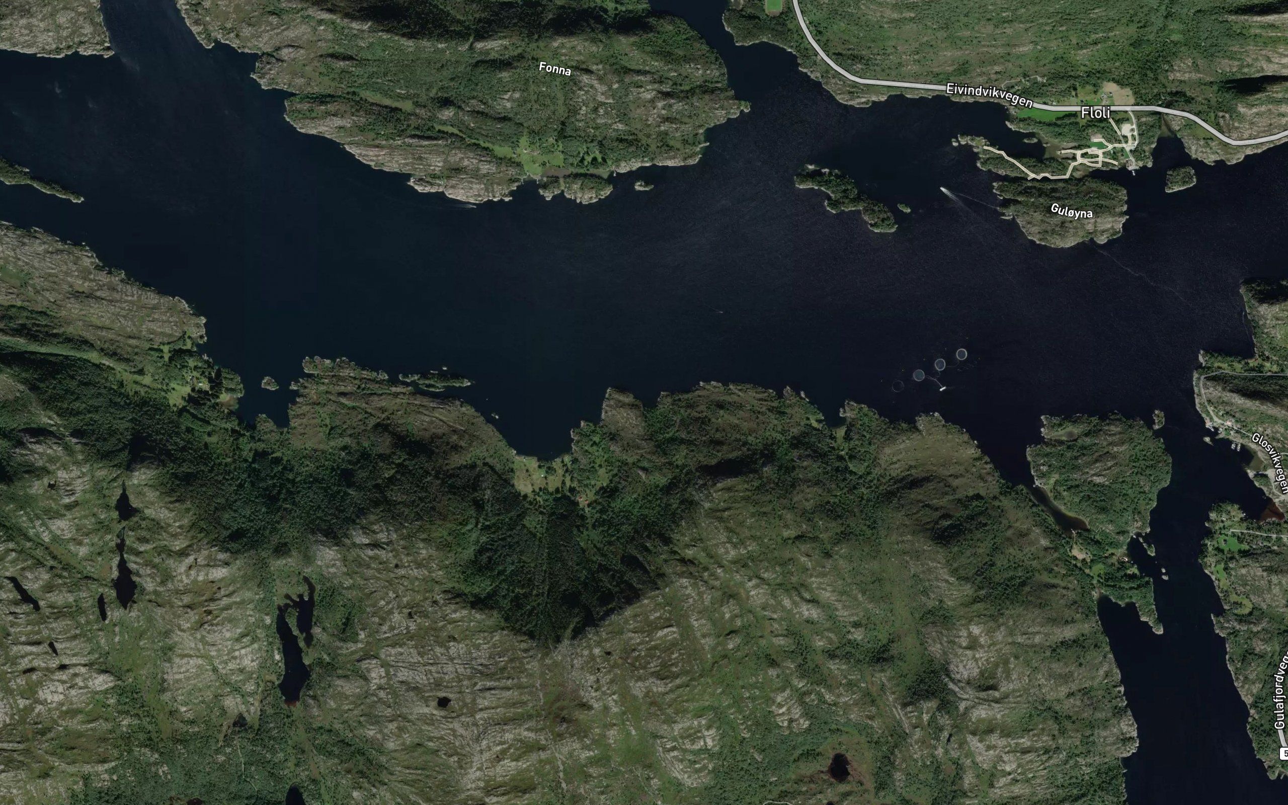 Dalevika