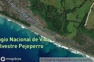 Laguna Pejeperro