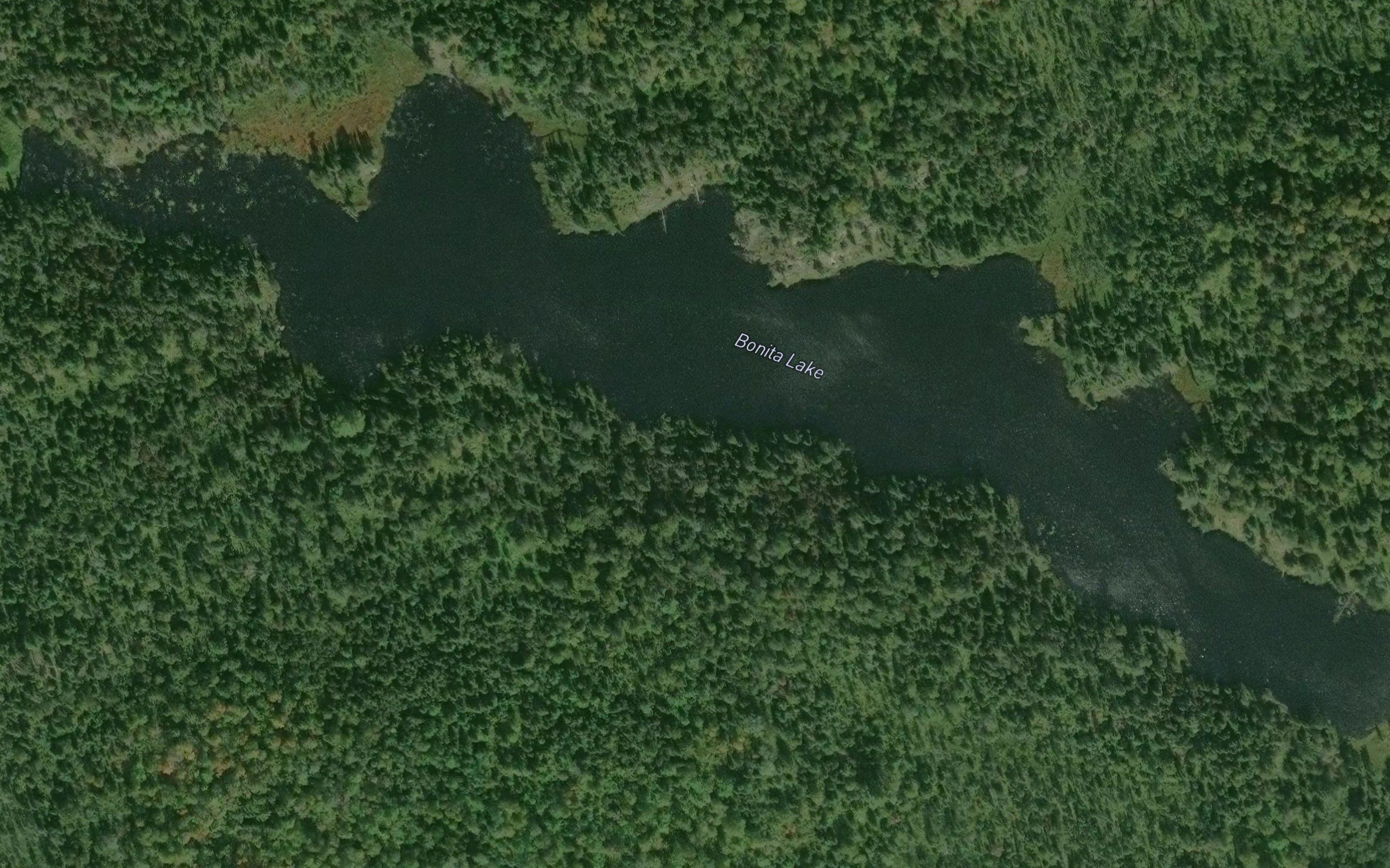 Bonita Lake