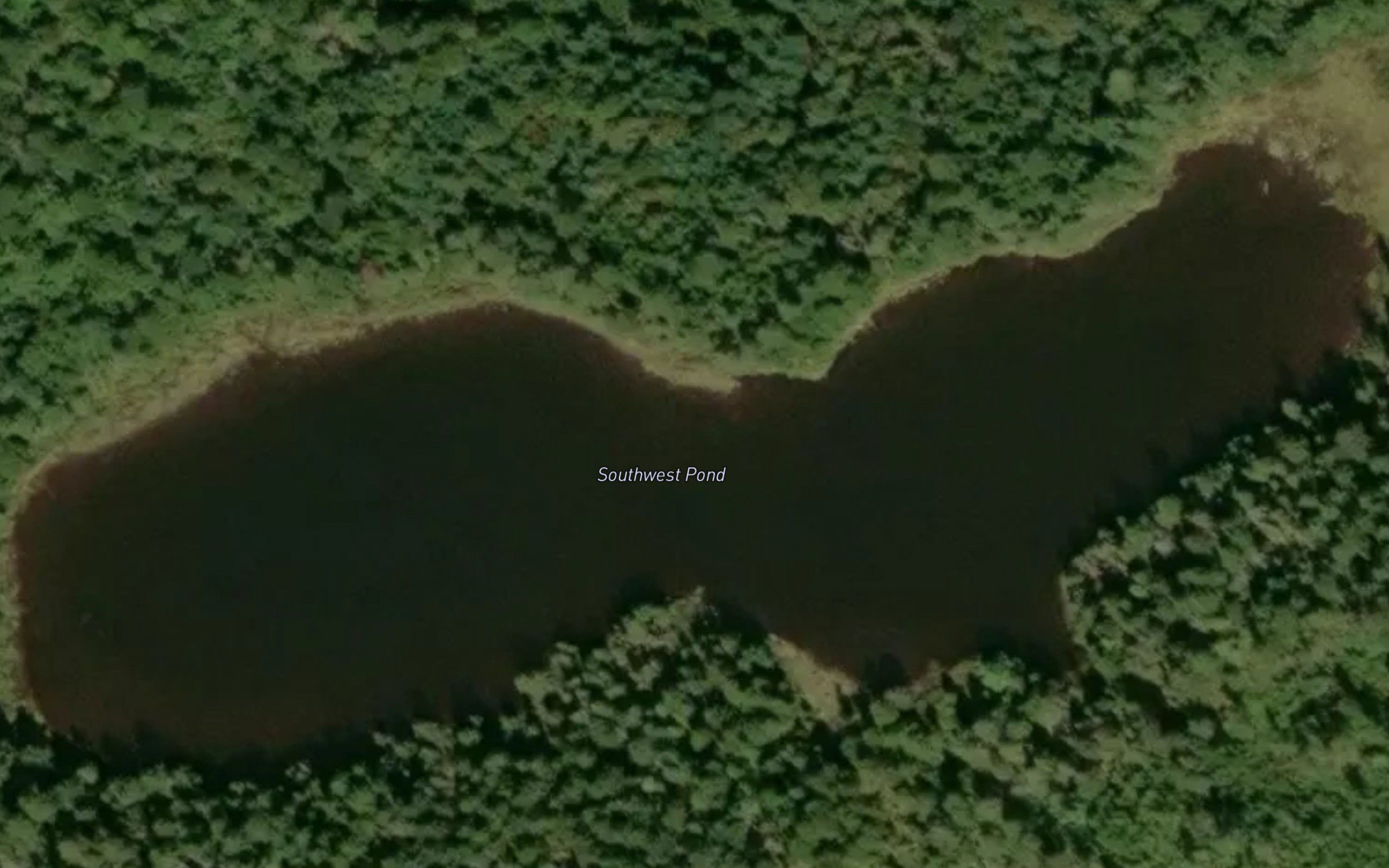Southwest Pond