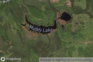 Muddy Lake