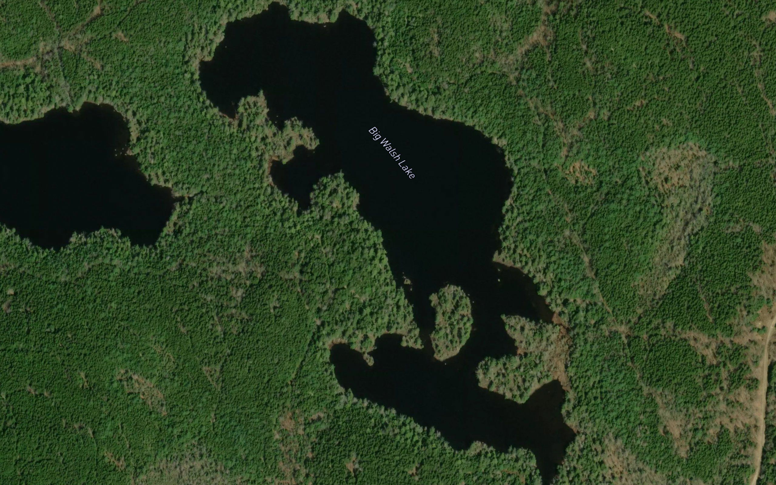 Big Walsh Lake