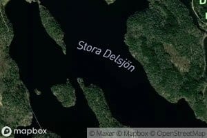 Stora Delsjoen