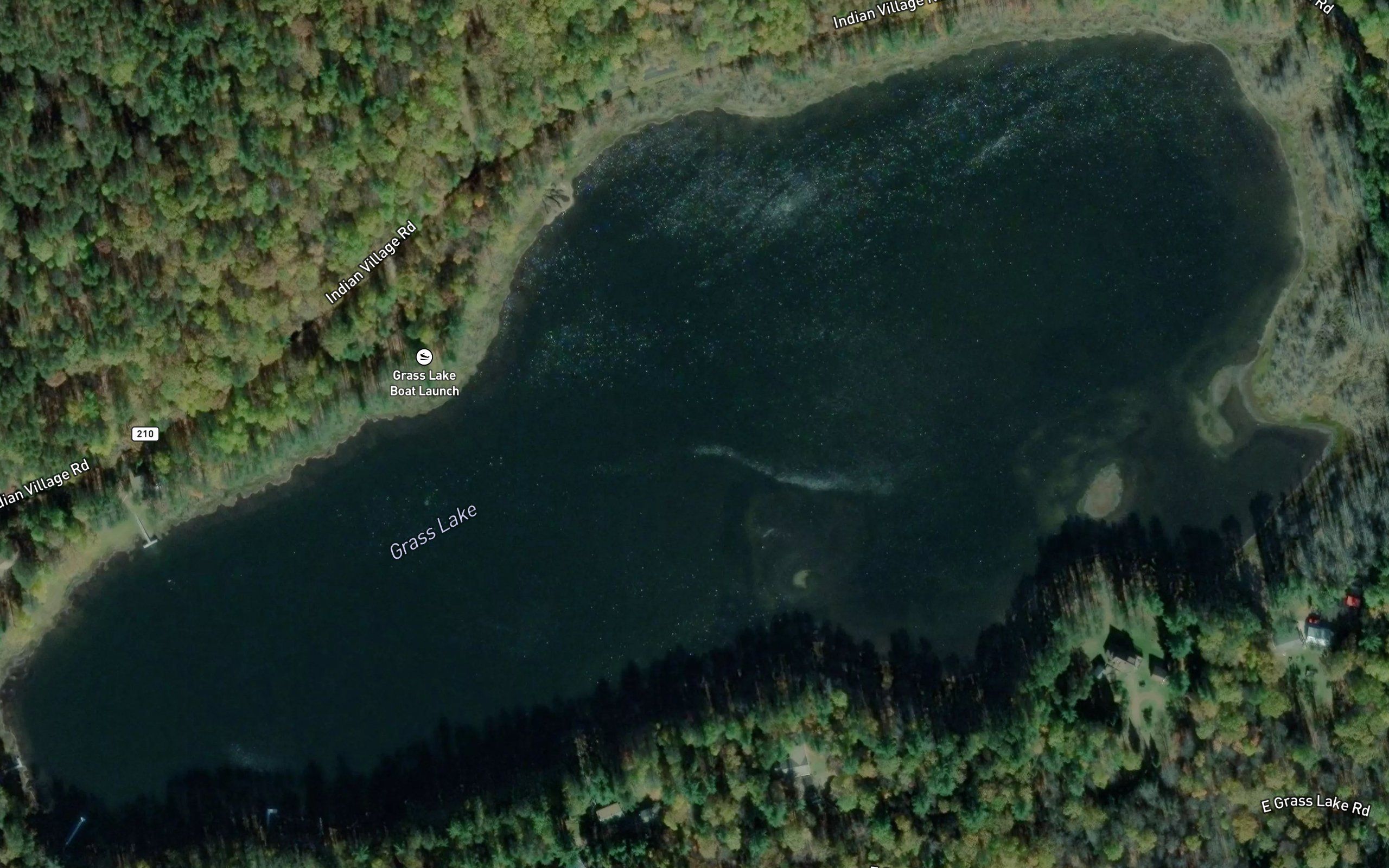 Grass Lake