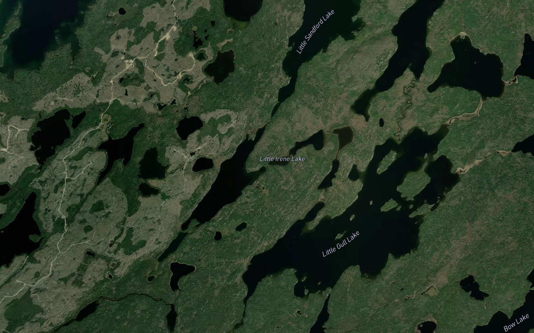 Satellite map of the Little Irene Lake