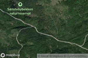 Sonstebybekken