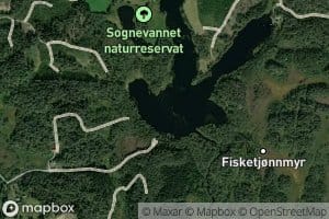 Sognevann