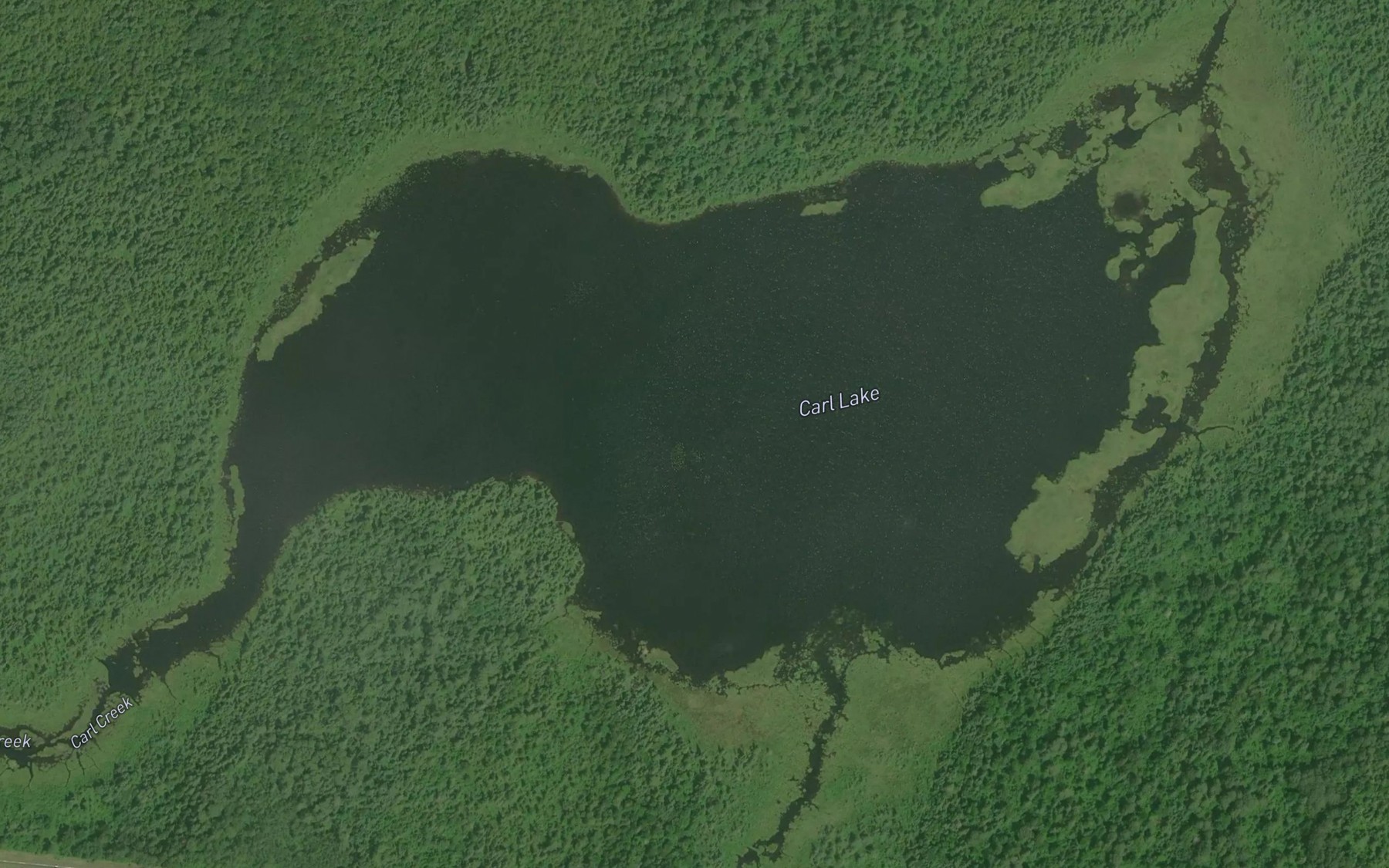 Satellite map of the Carl Lake