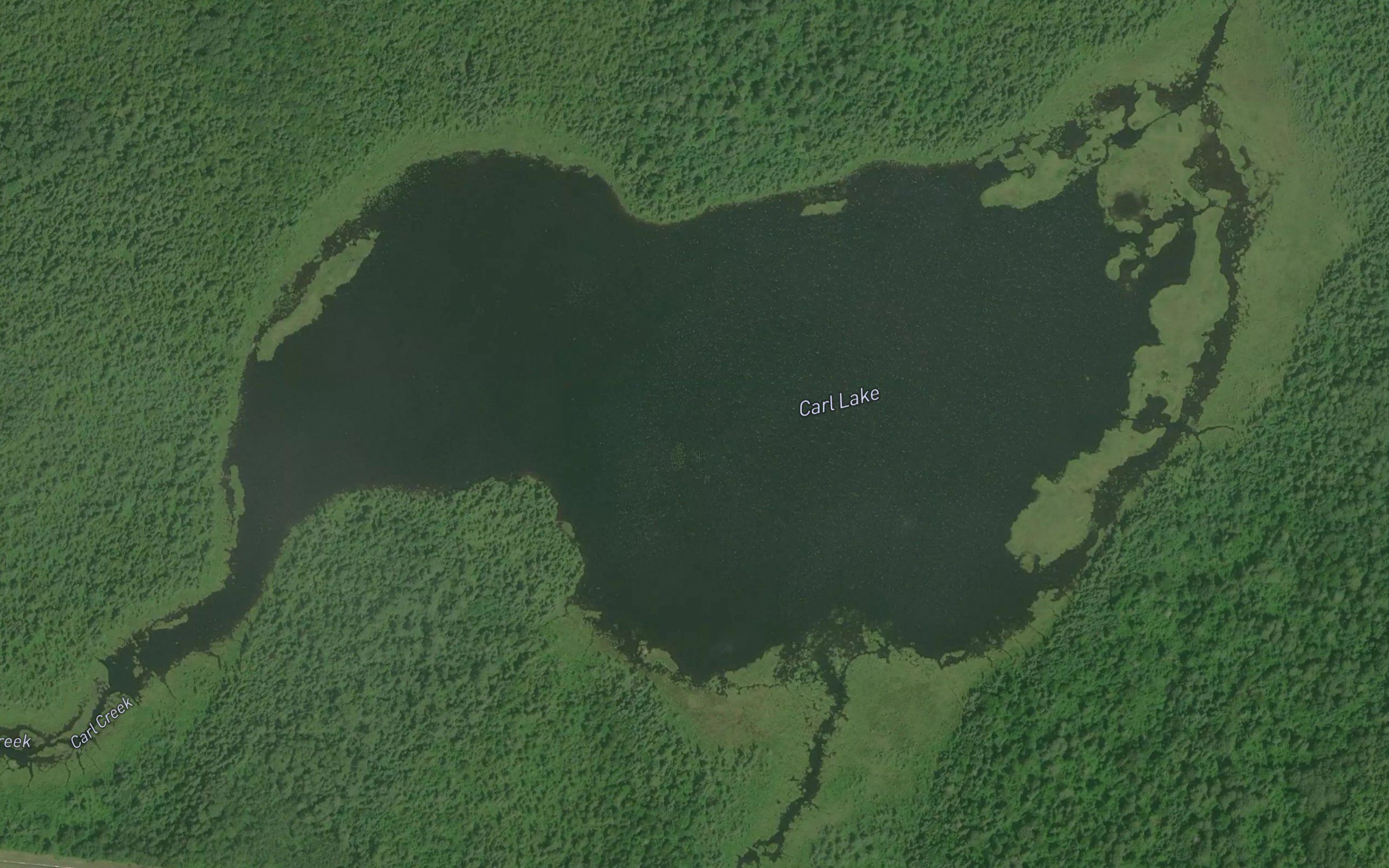 Carl Lake