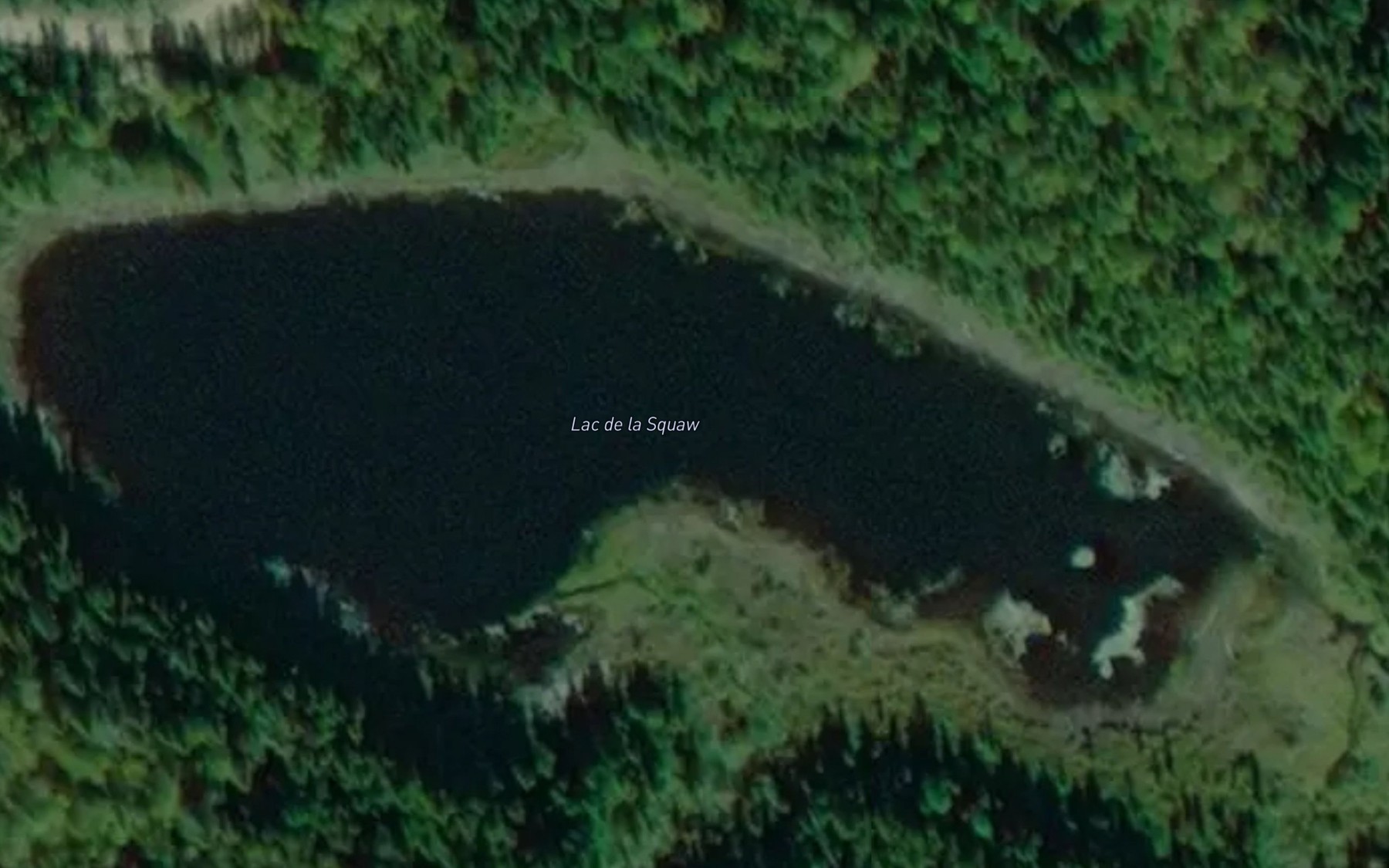 Satellite map of the Lac de la Squaw