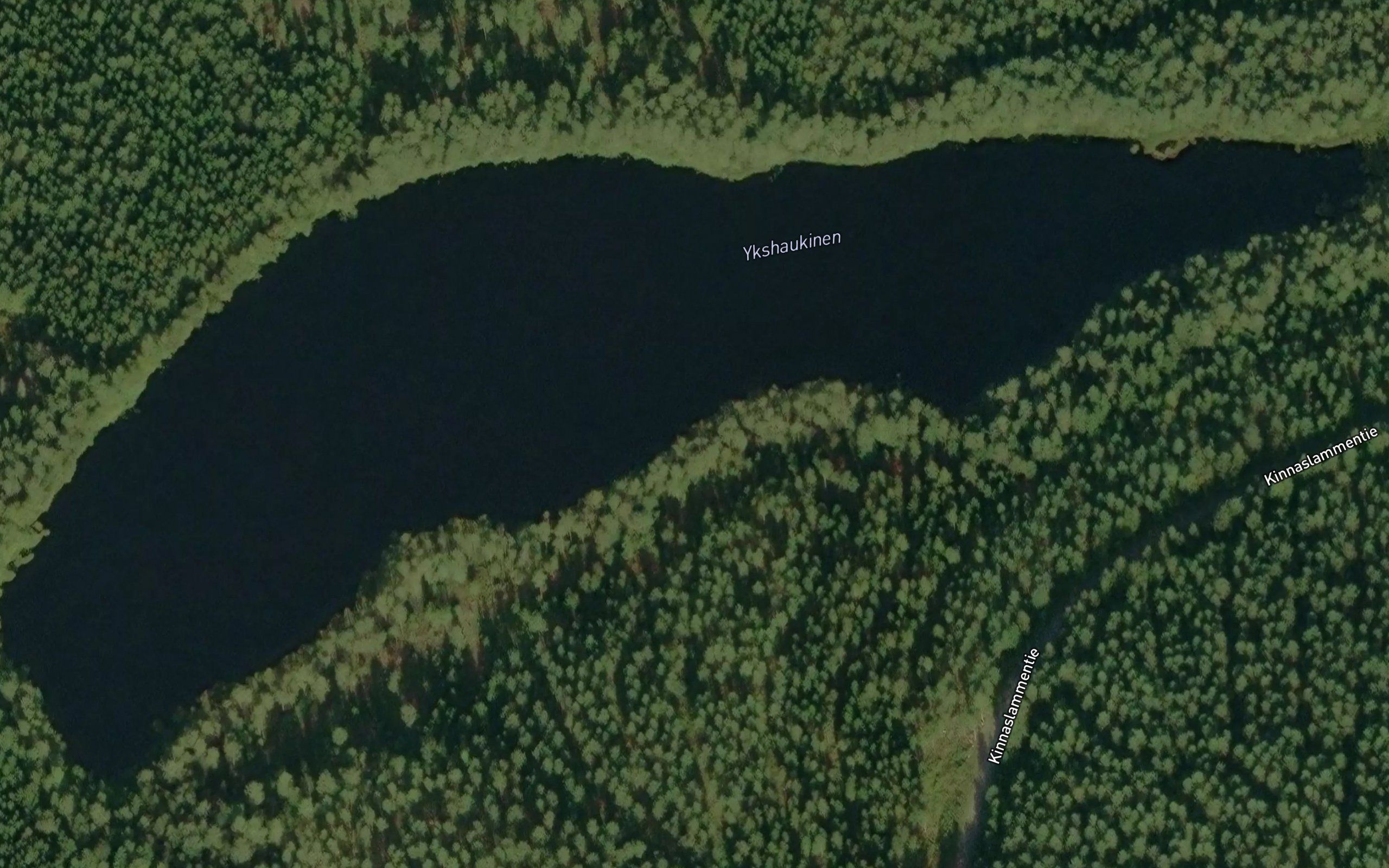 Ykshaukinen