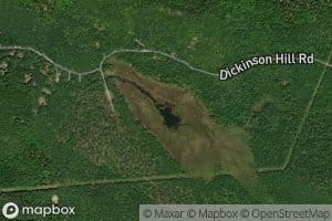 Beaver Pond