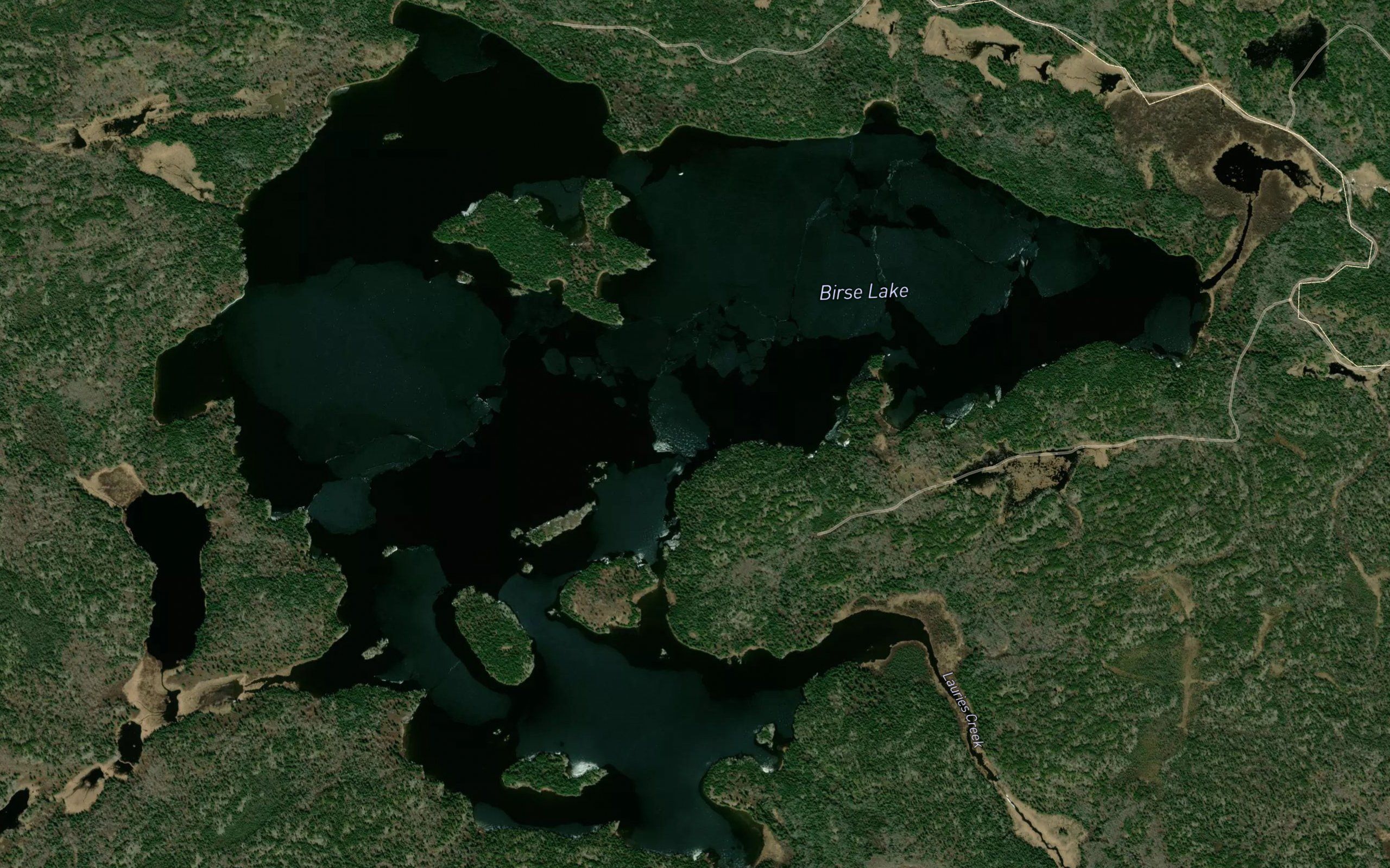 Birse Lake