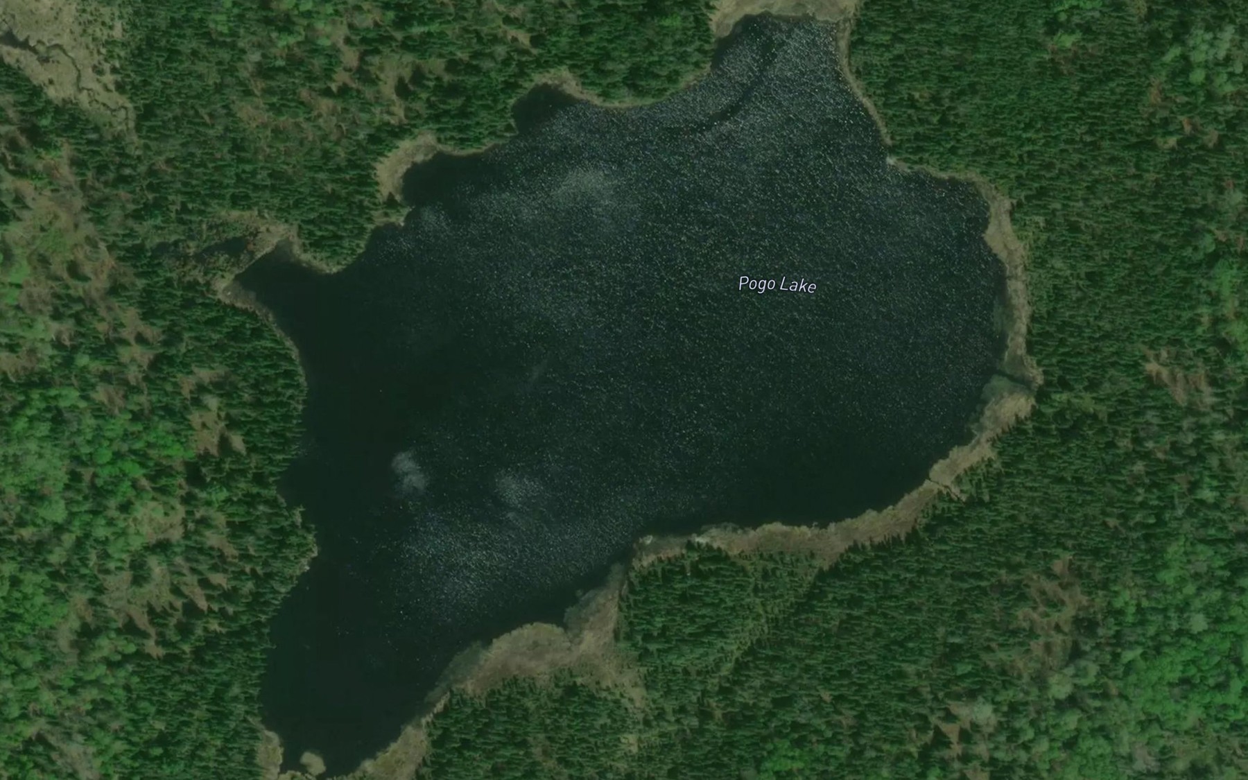 Satellite map of the Pogo Lake