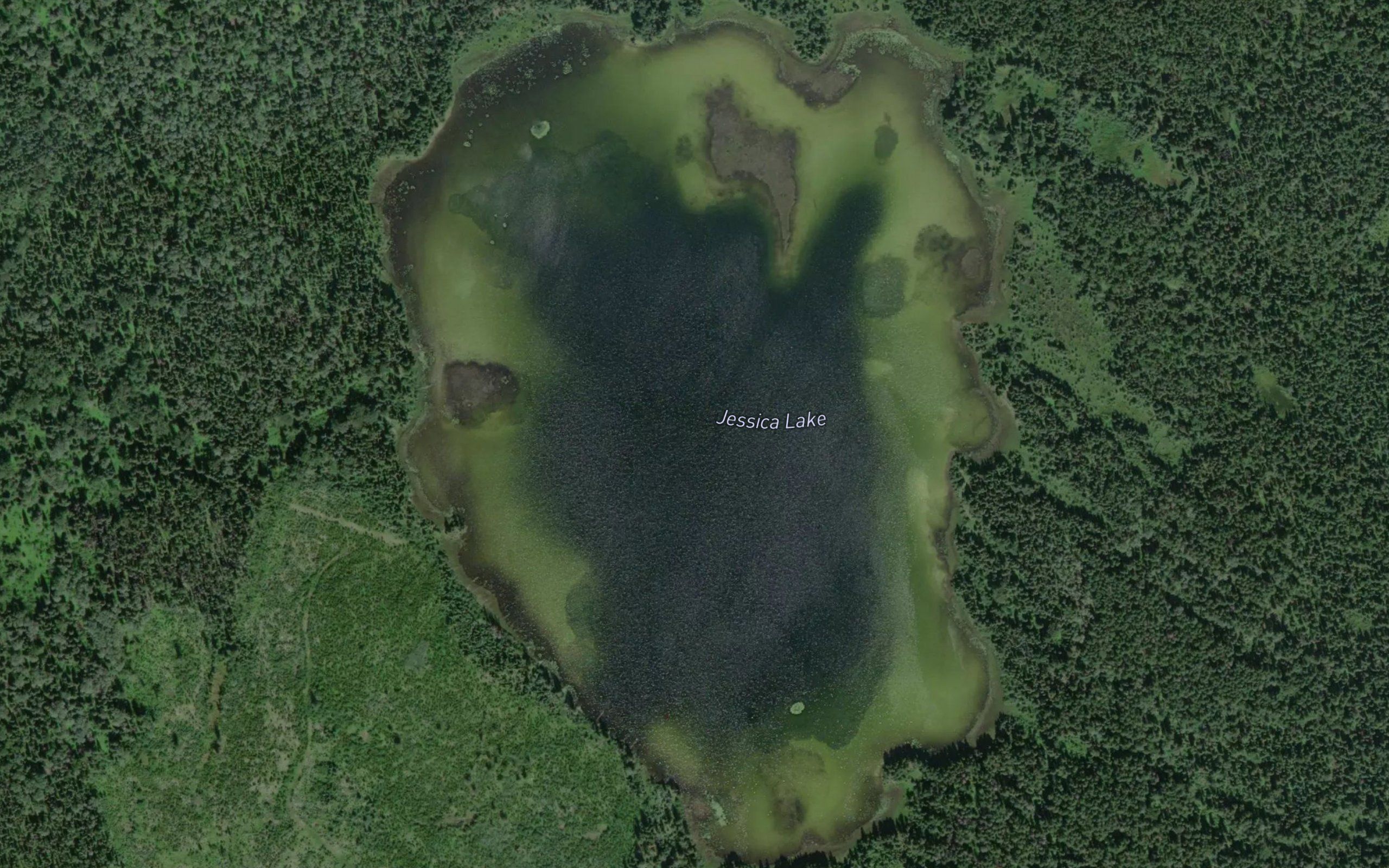 Jessica Lake