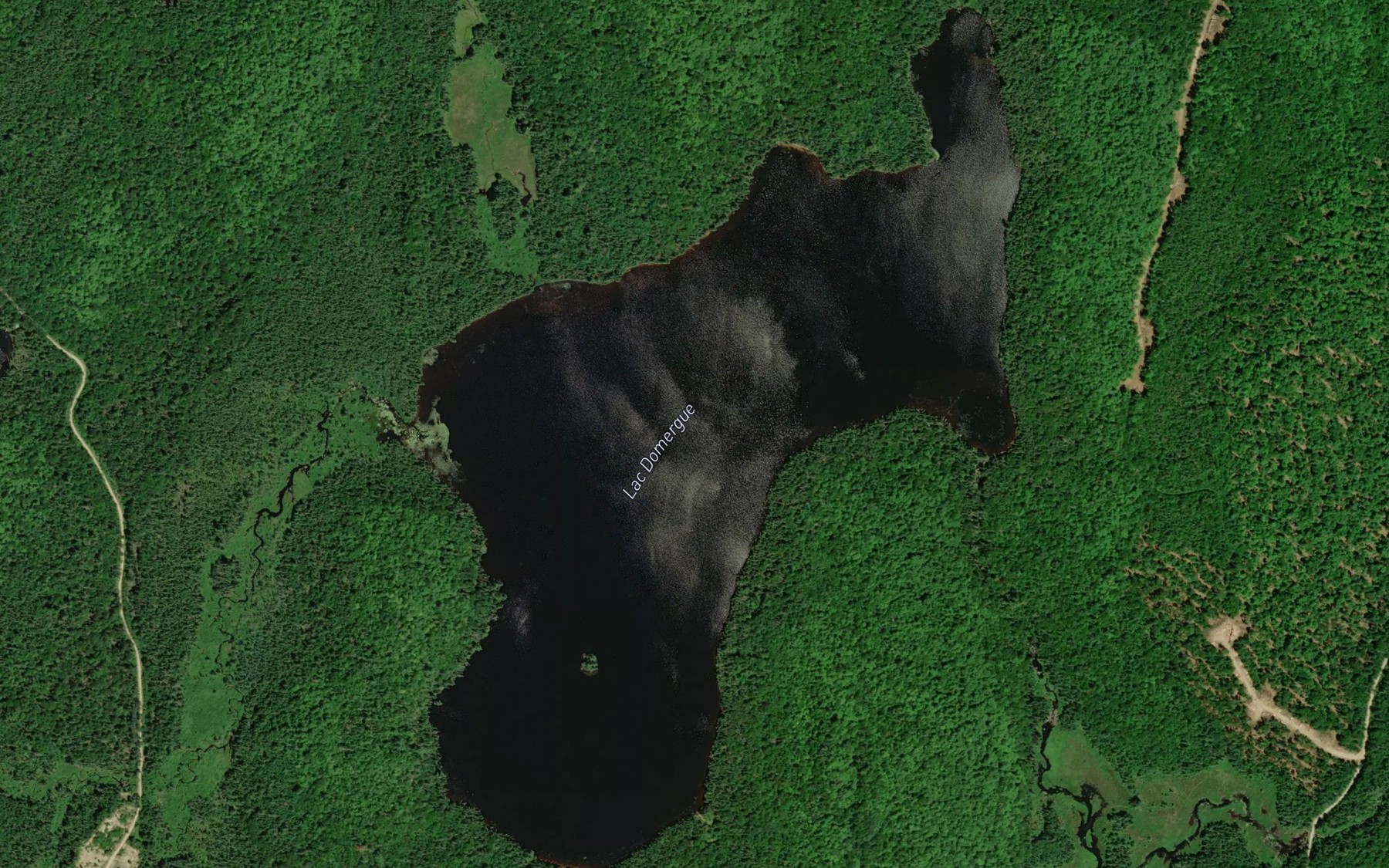 Satellite map of the Lac Domergue