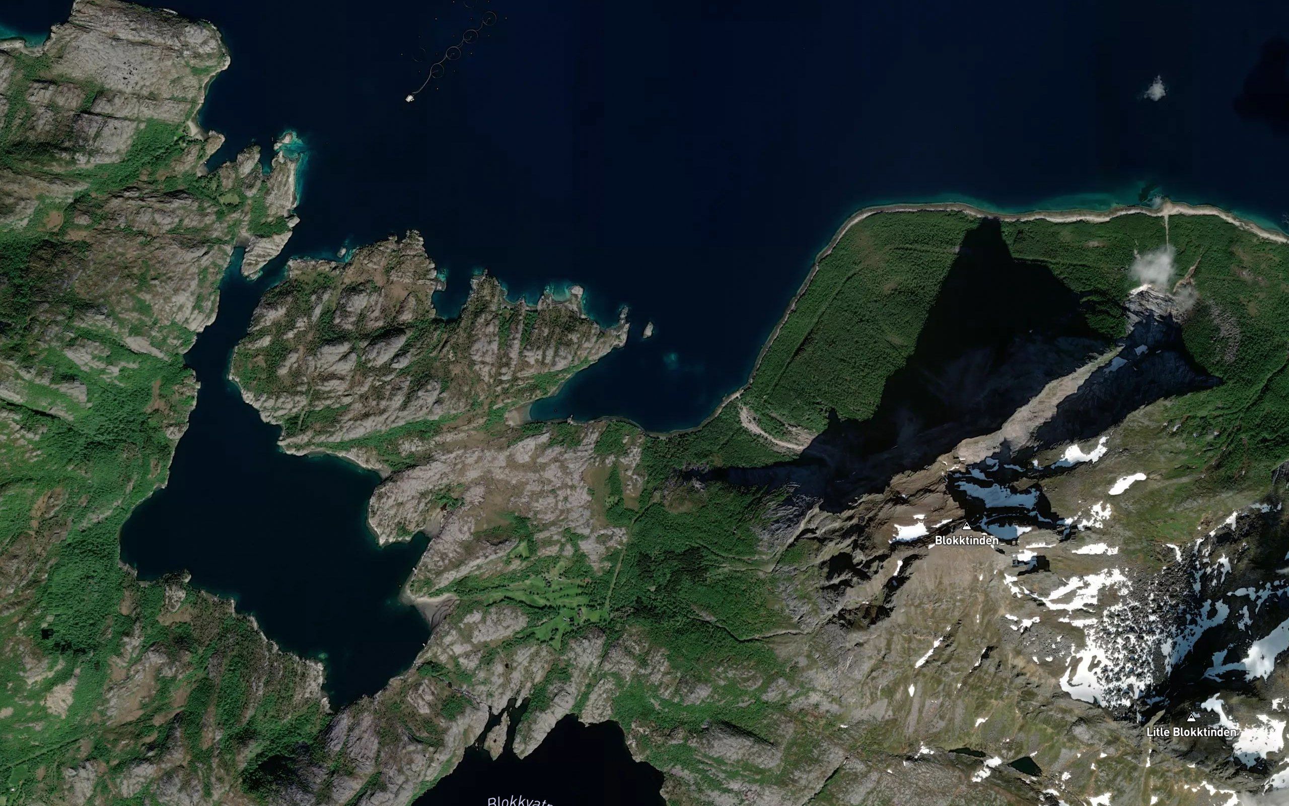 Hannvika