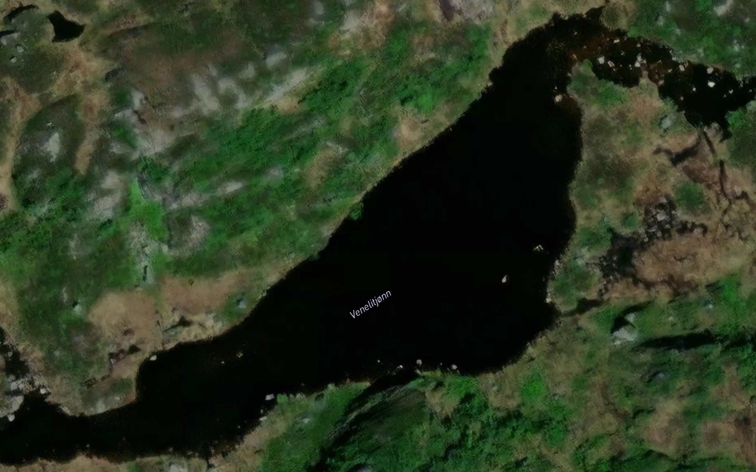 Venelitjonn