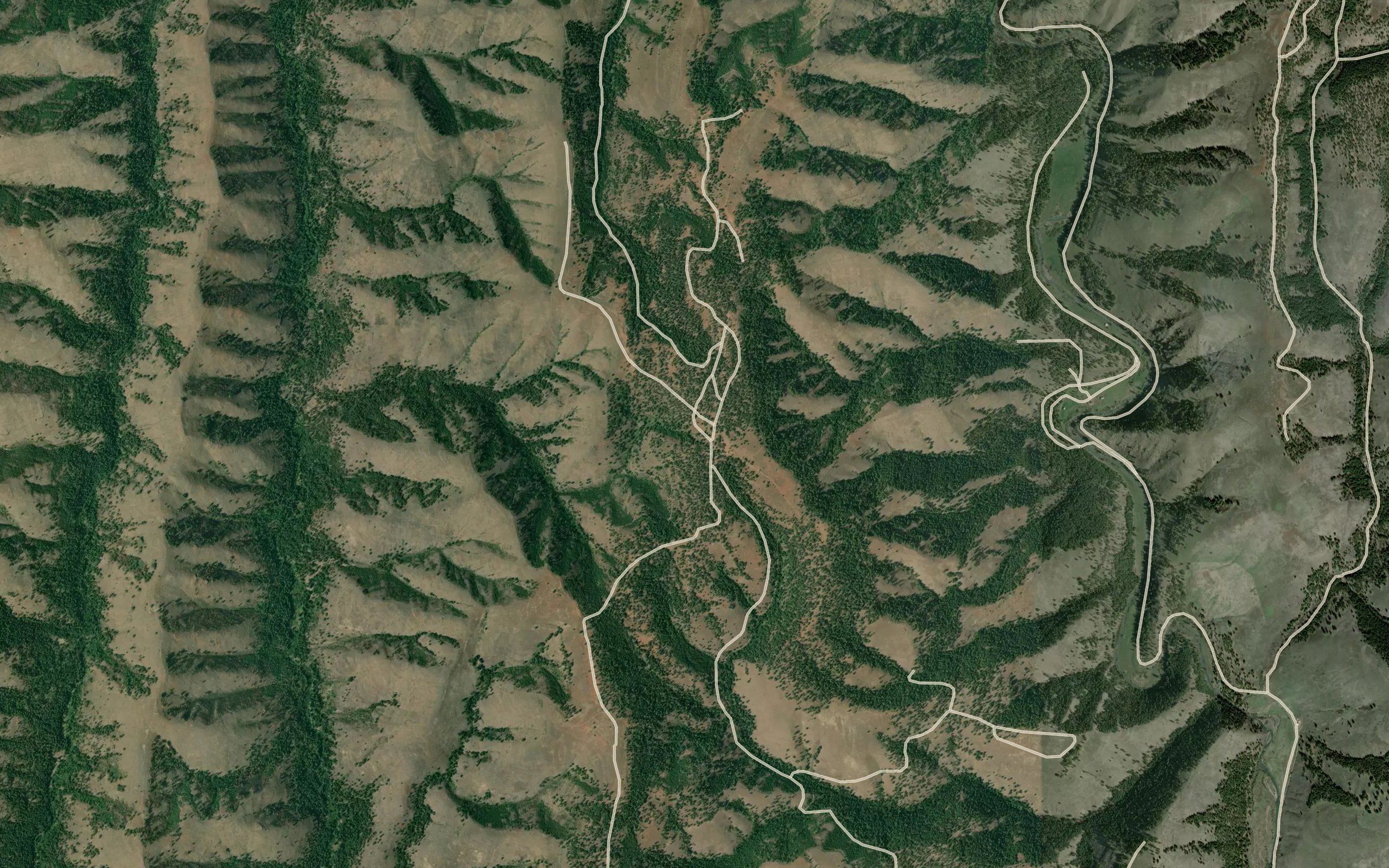 Miller Spring