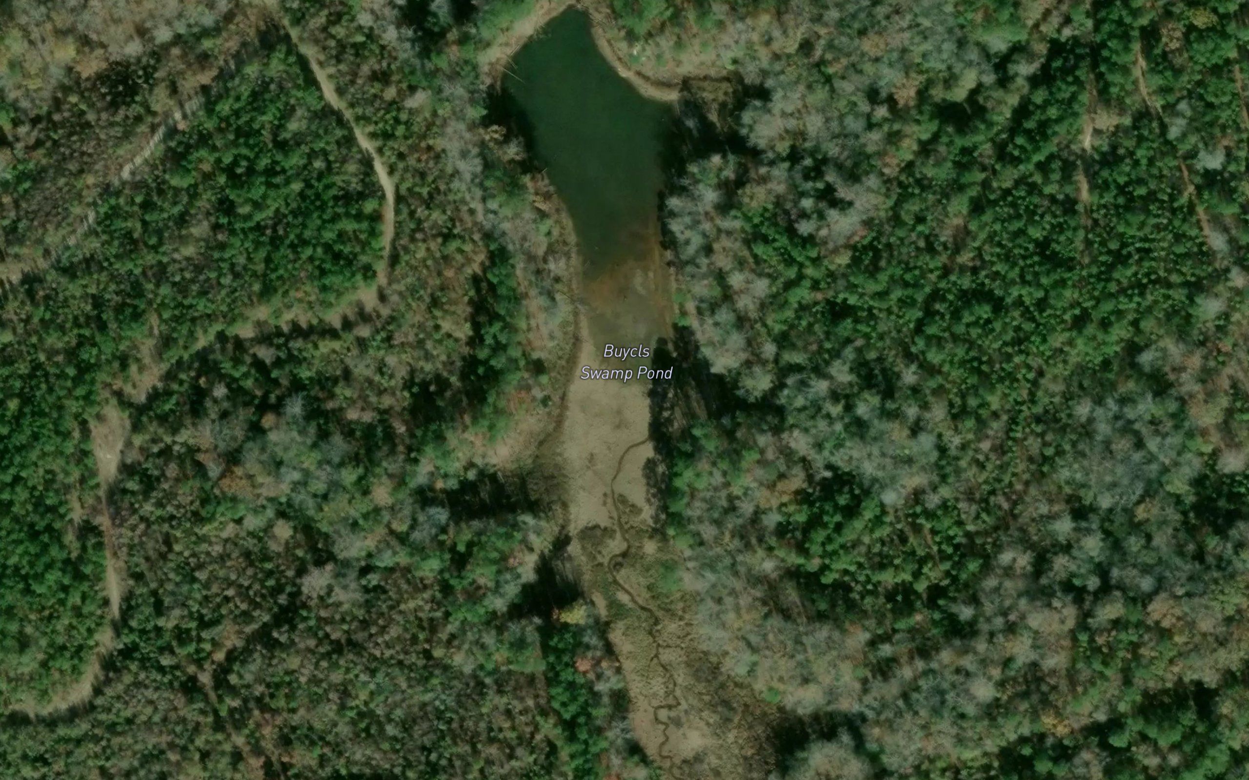 Buycls Swamp Pond