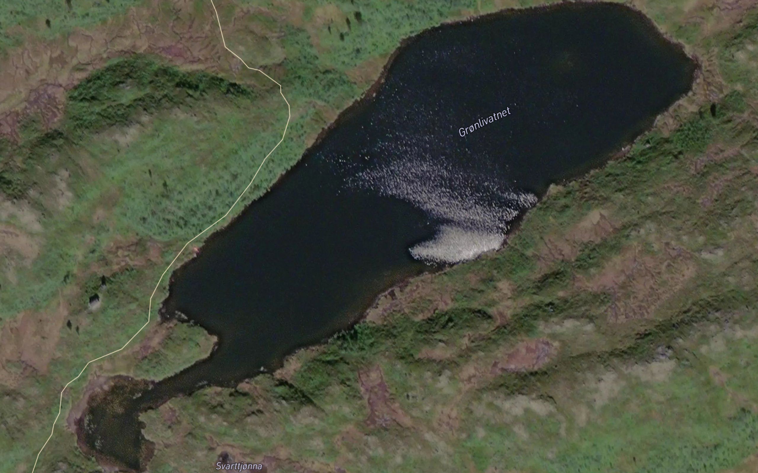 Gronlivatnet