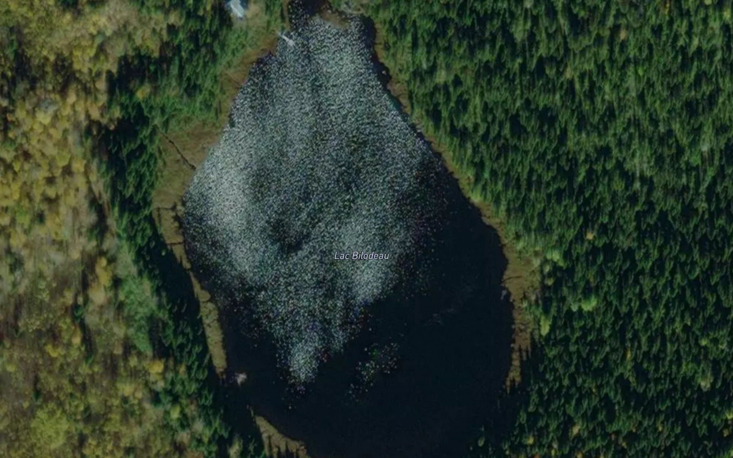 Lac Bilodeau