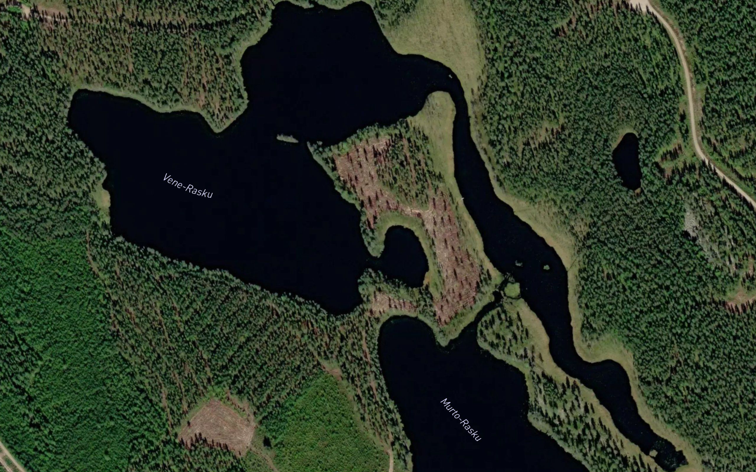 Vene-Rasku