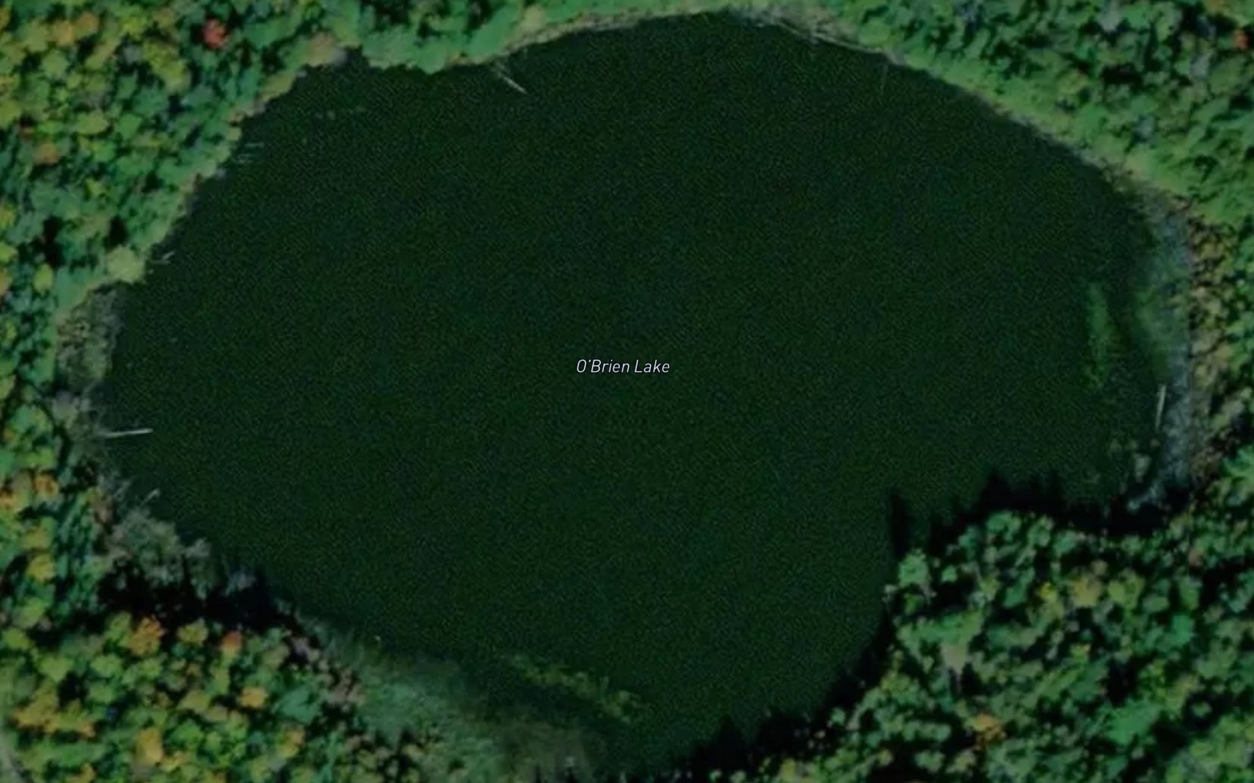 Satellite map of the O'Brien Lake