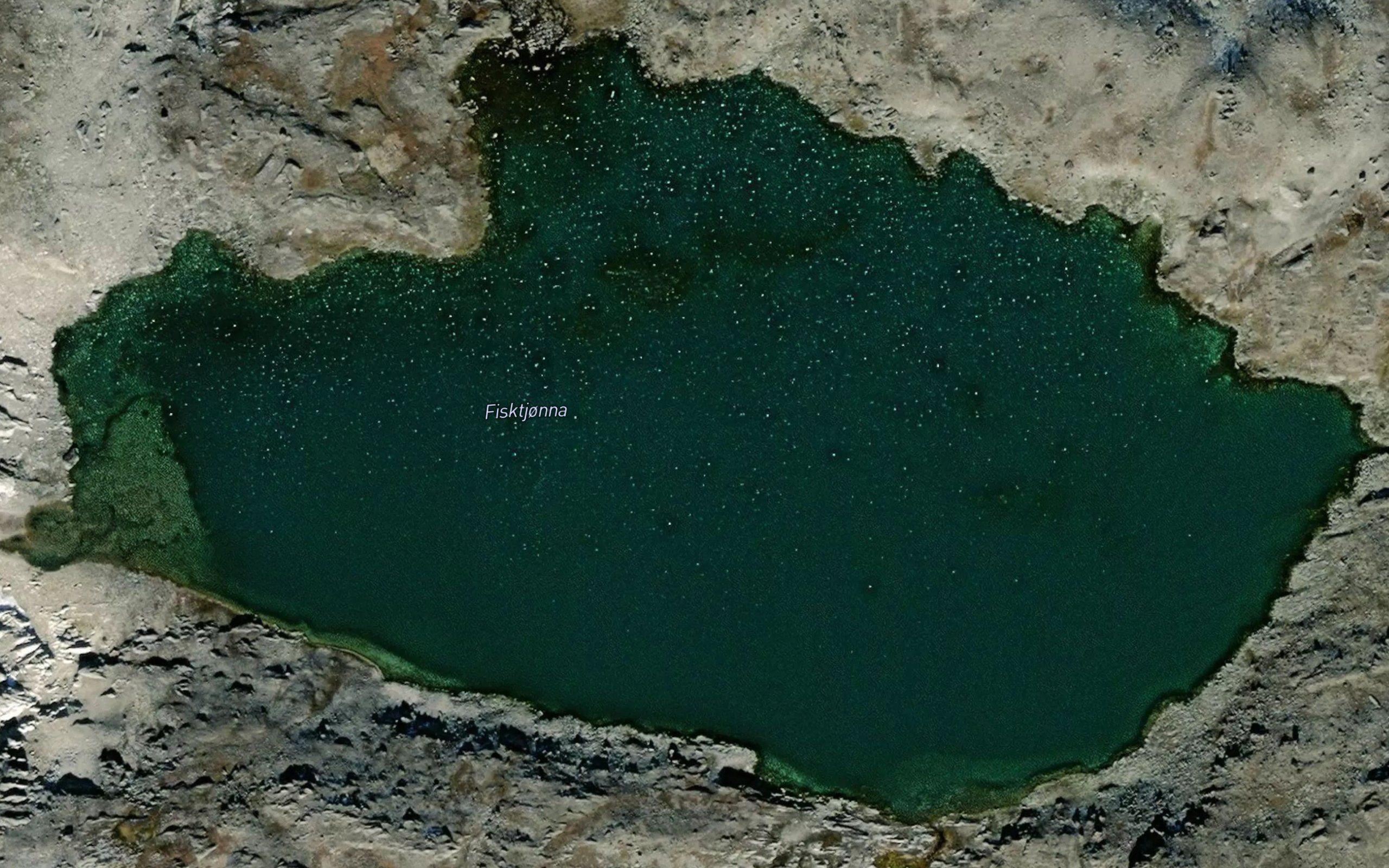 Fisketjorna