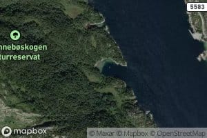 Kongshamnen