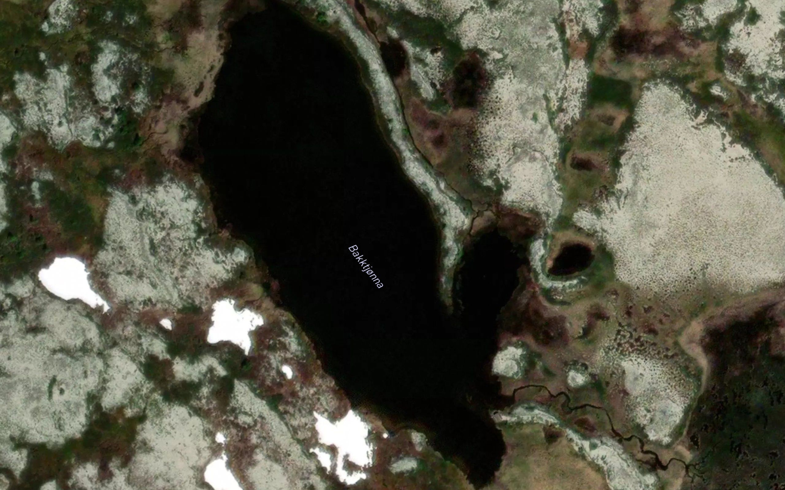 Bakktjorna