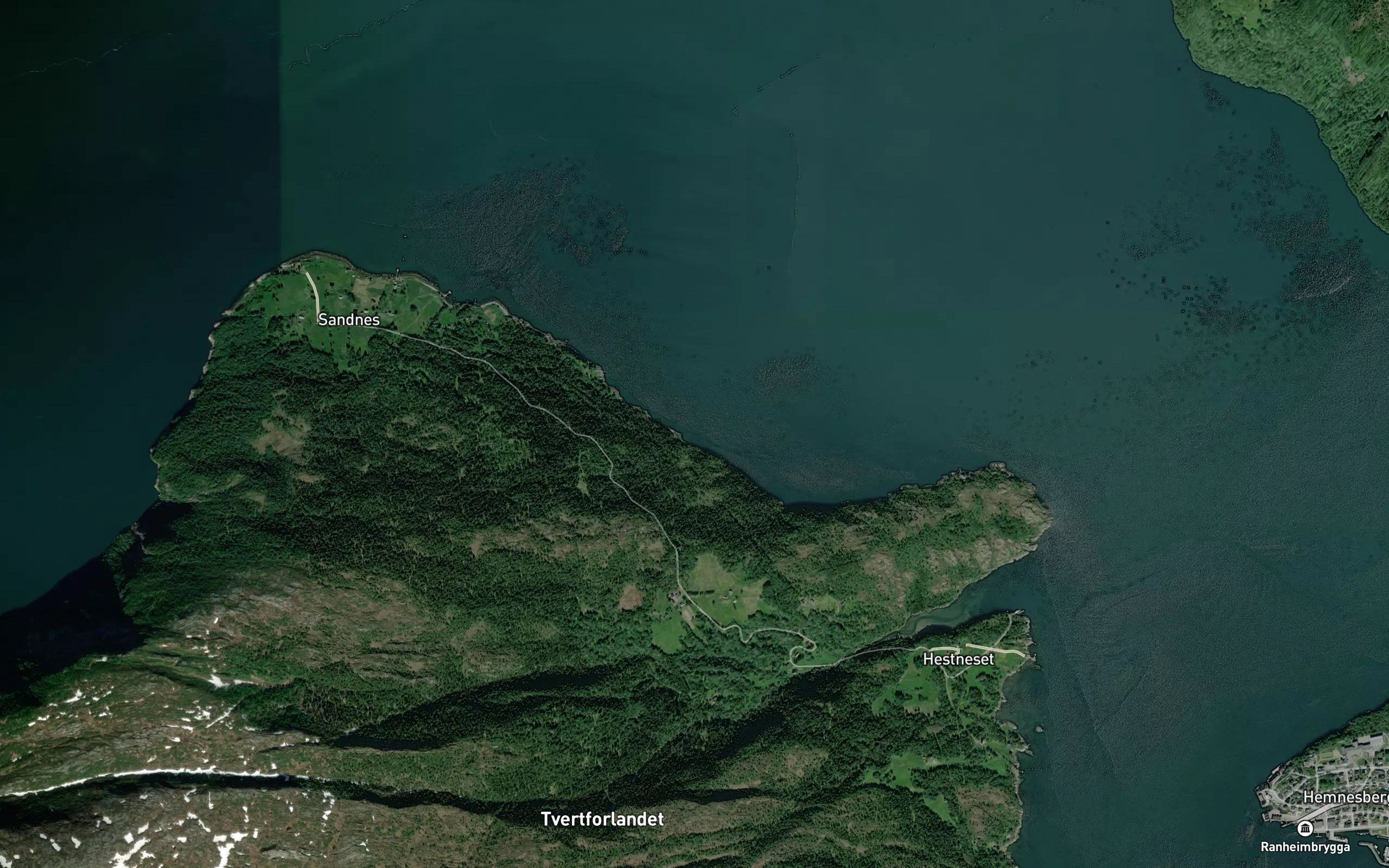 Tommervika