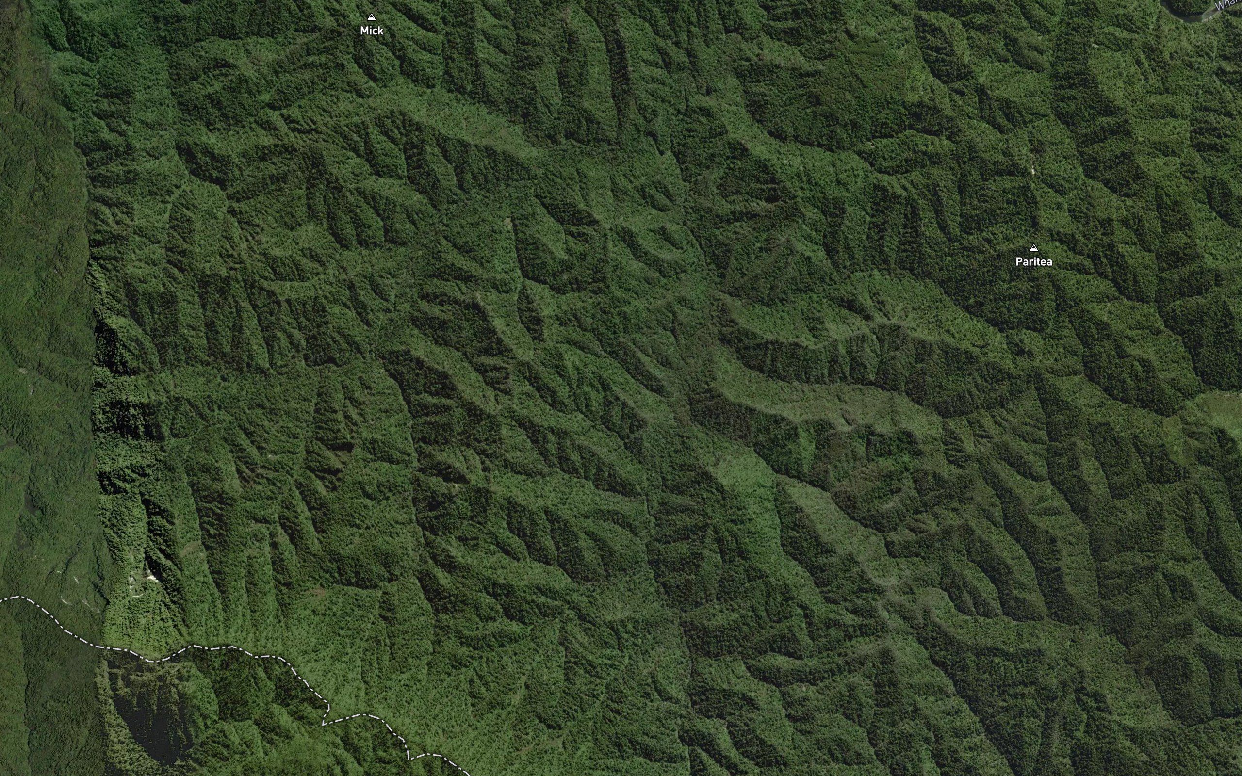 Mangawaiiti East Branch