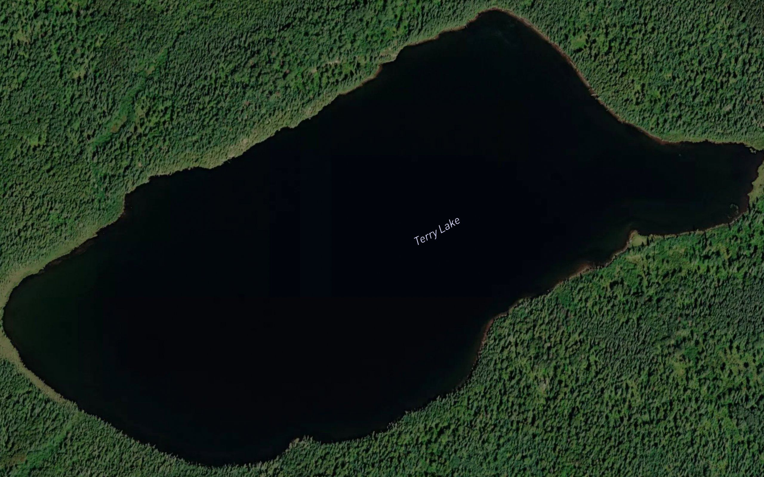 Terry Lake