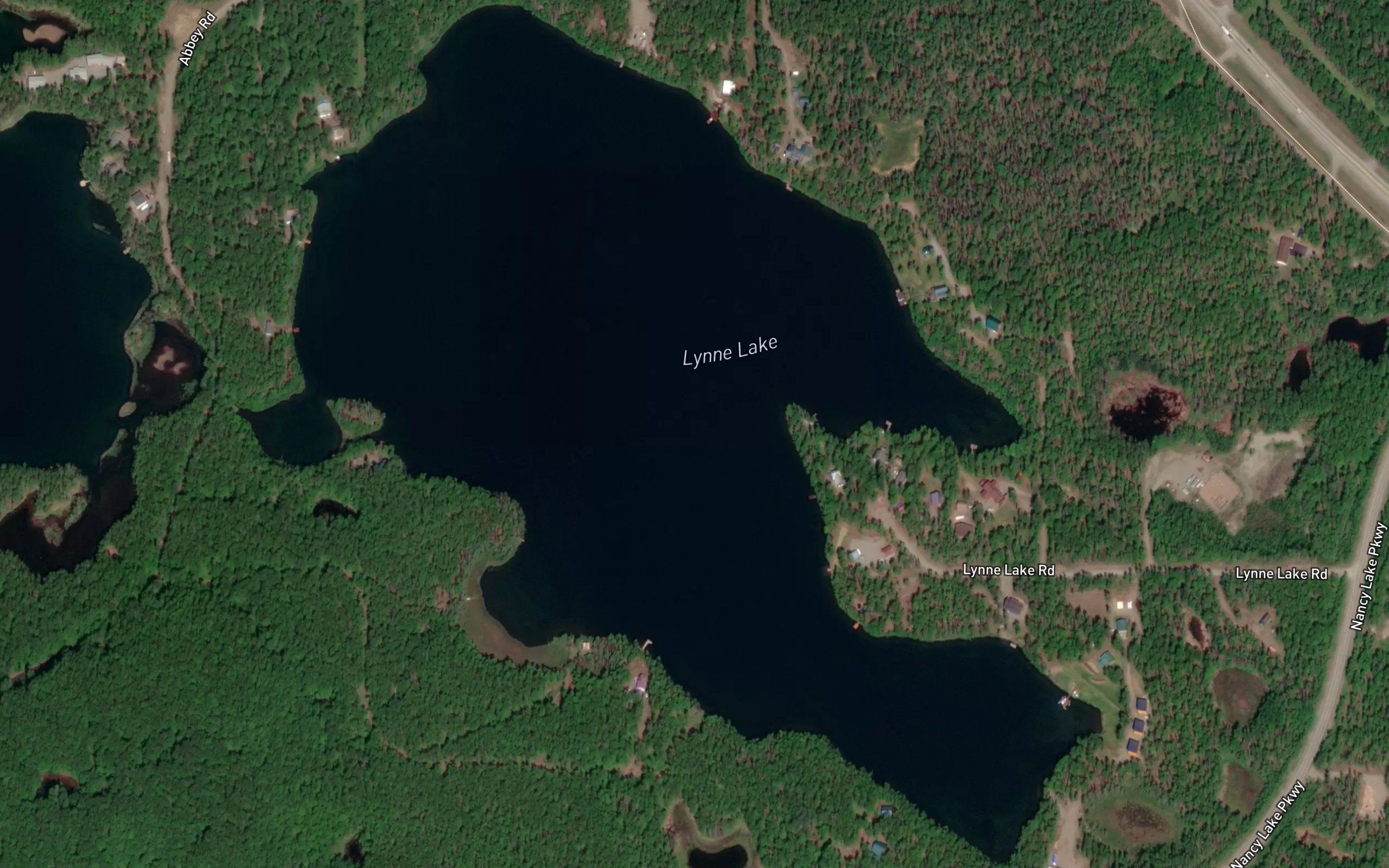 Lynne Lake