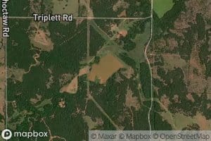 Bear Fall Coon Creek Site 16 Reservoir