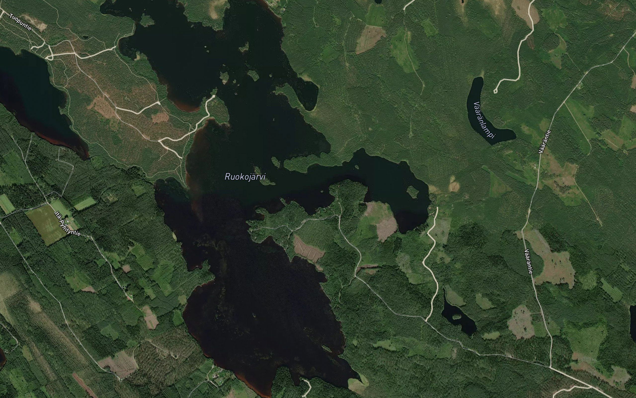 Mesjonlahti