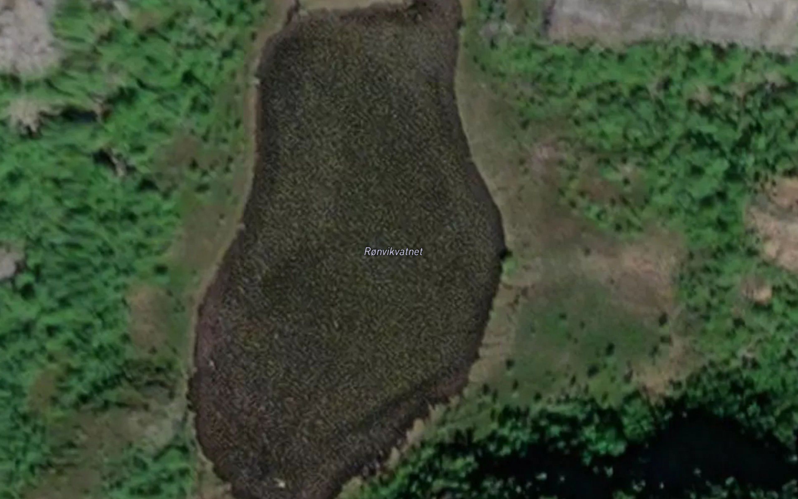 Ronvikvatnet