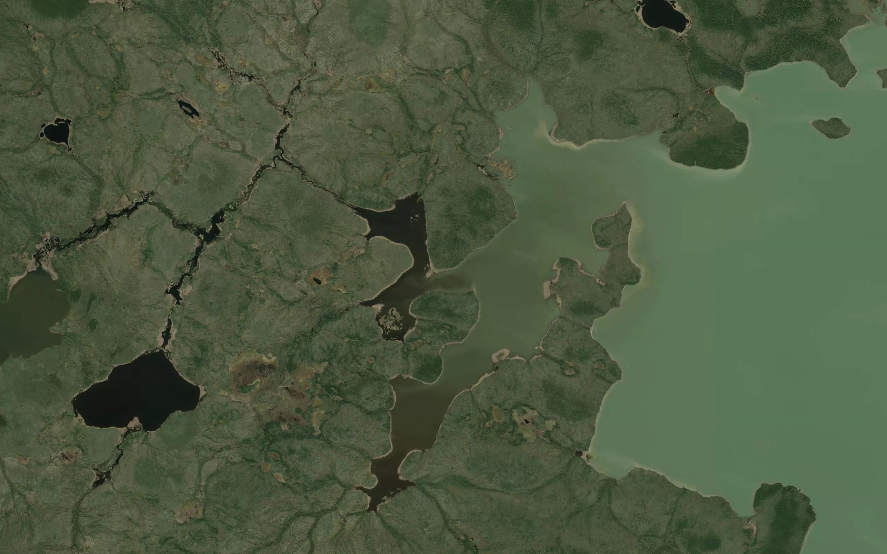 Satellite map of the Meestakamik River