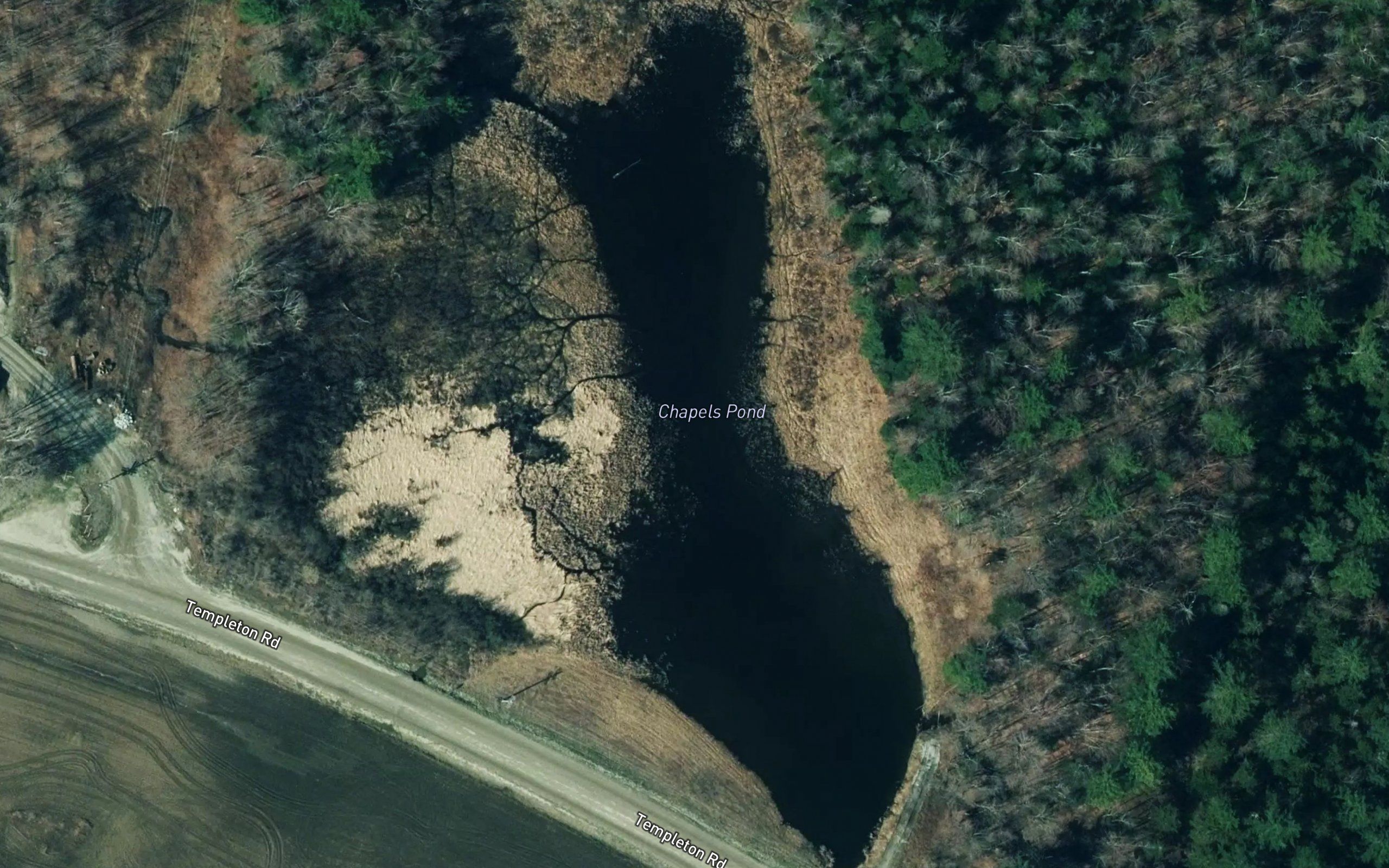 Chapels Pond
