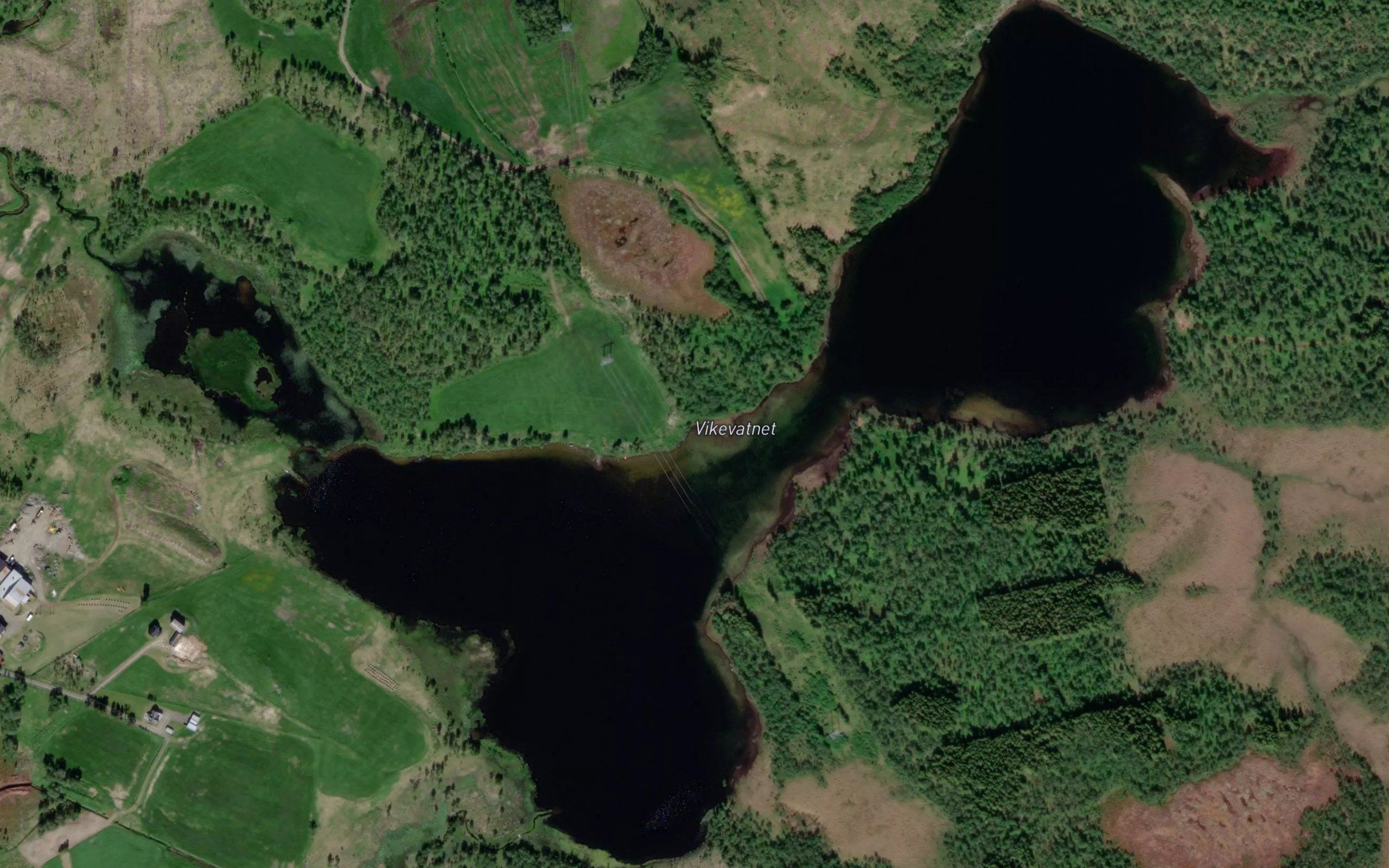 Vikevatnet