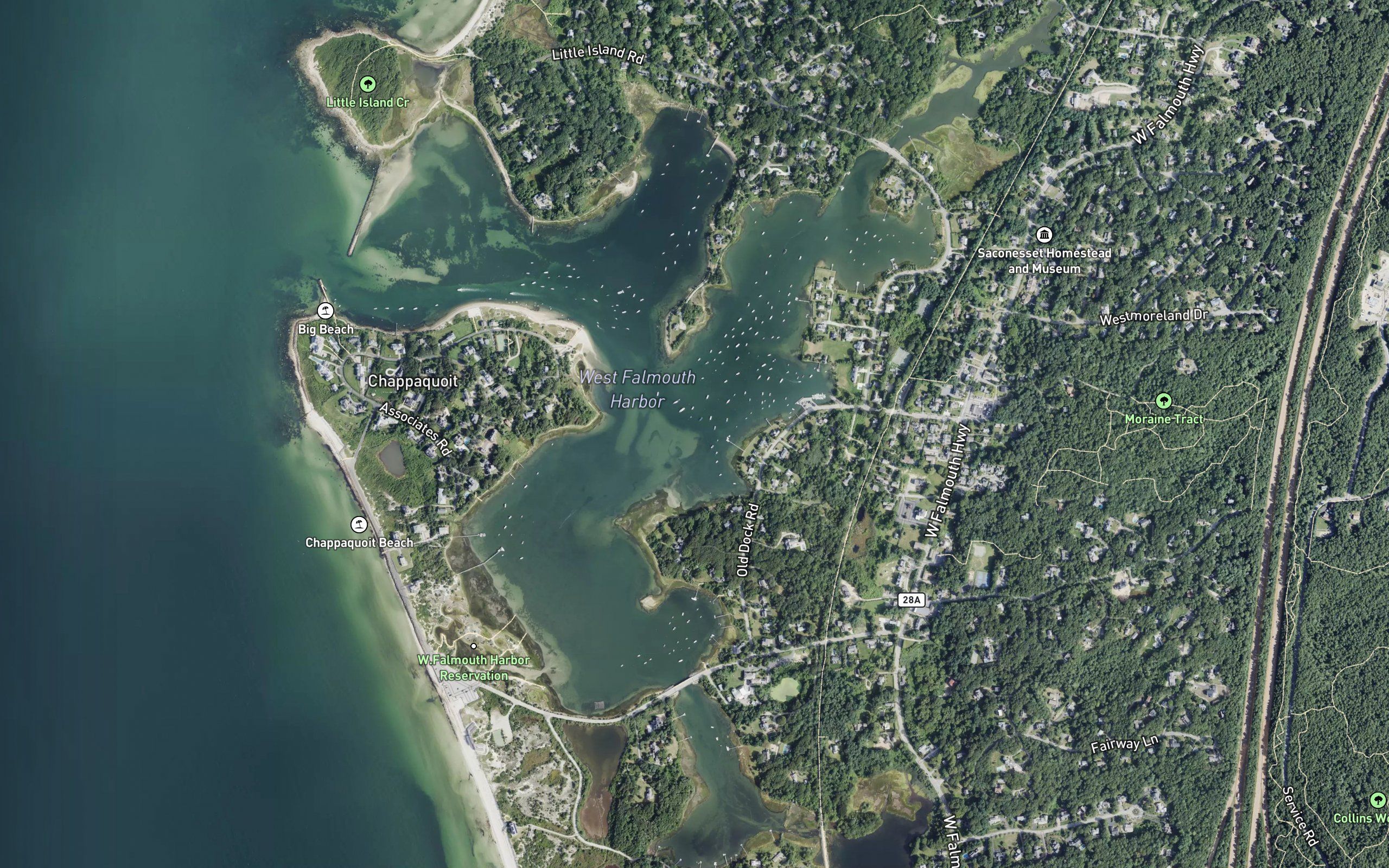 Harbor Head