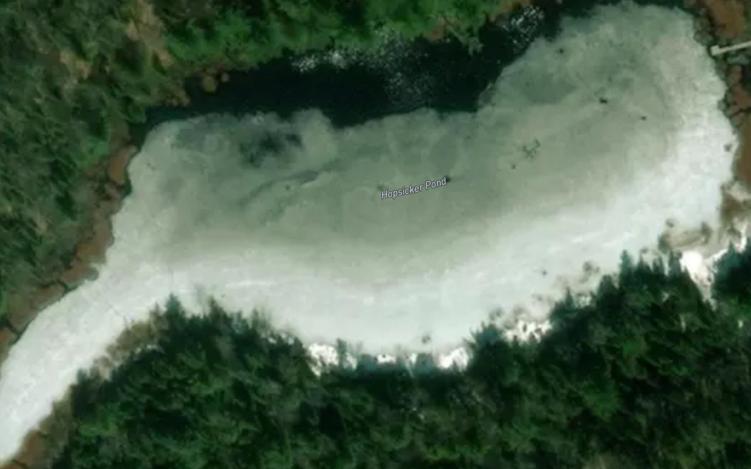 Hopsicker Pond
