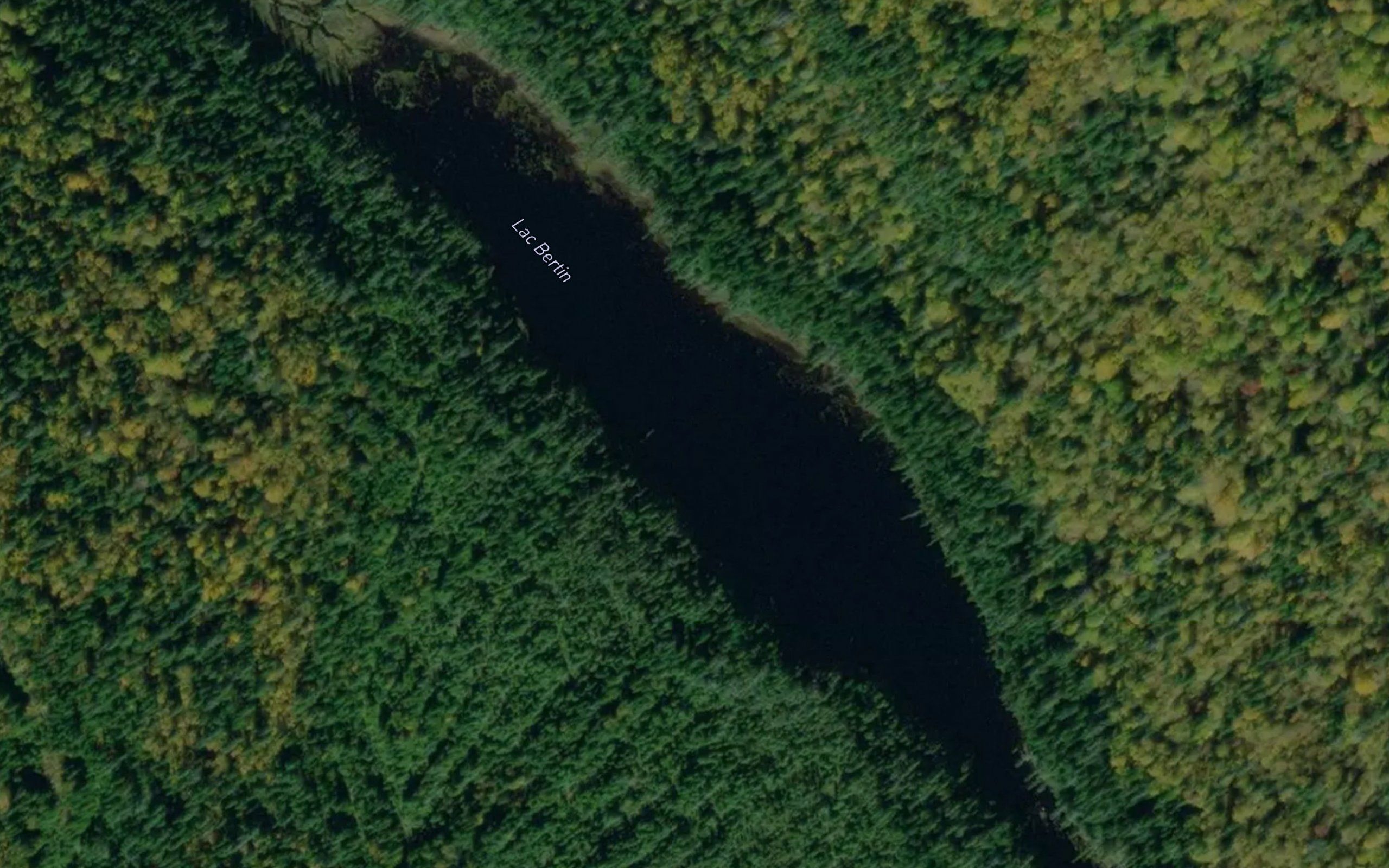 Lac Bertin