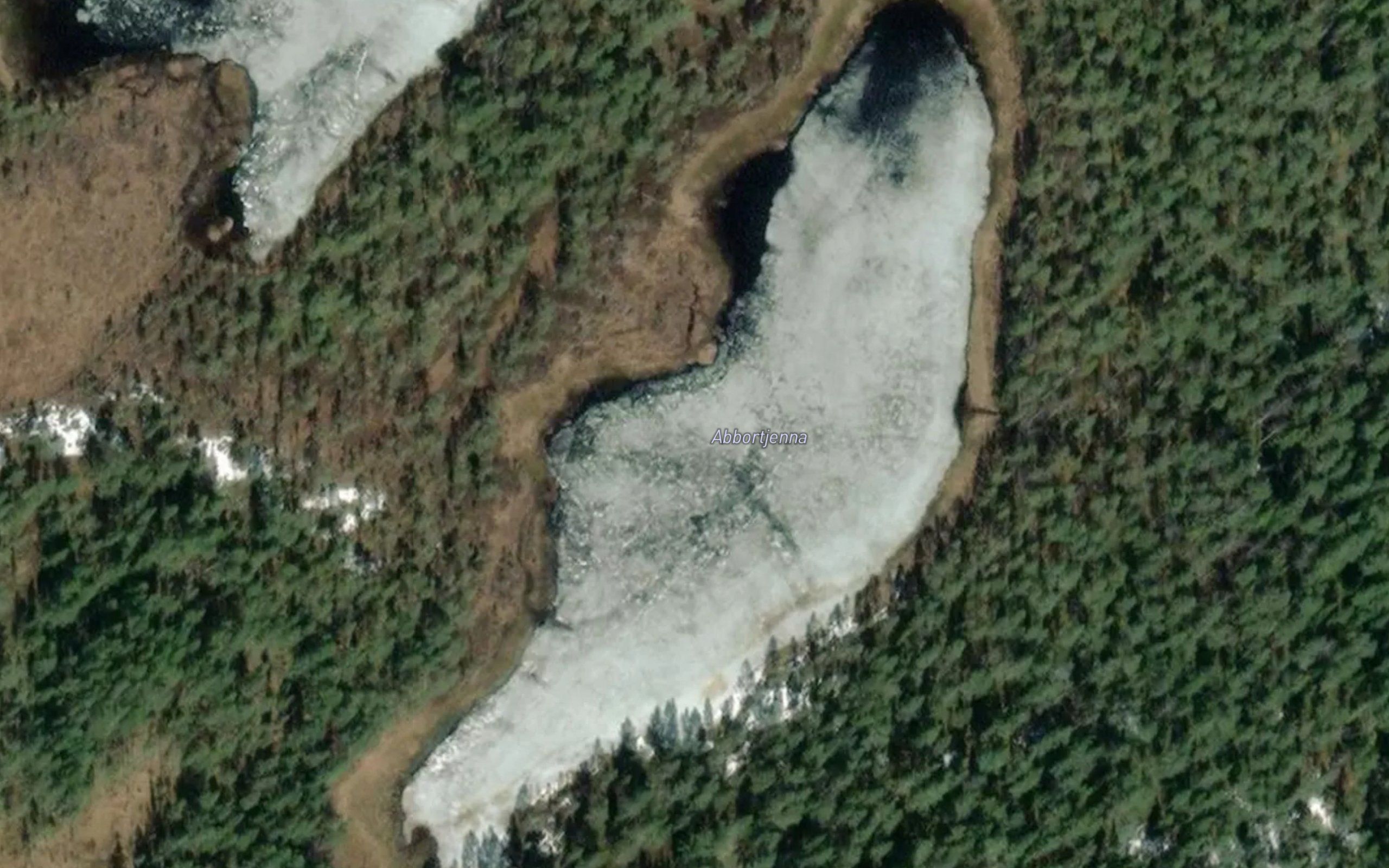 Abbortjerna