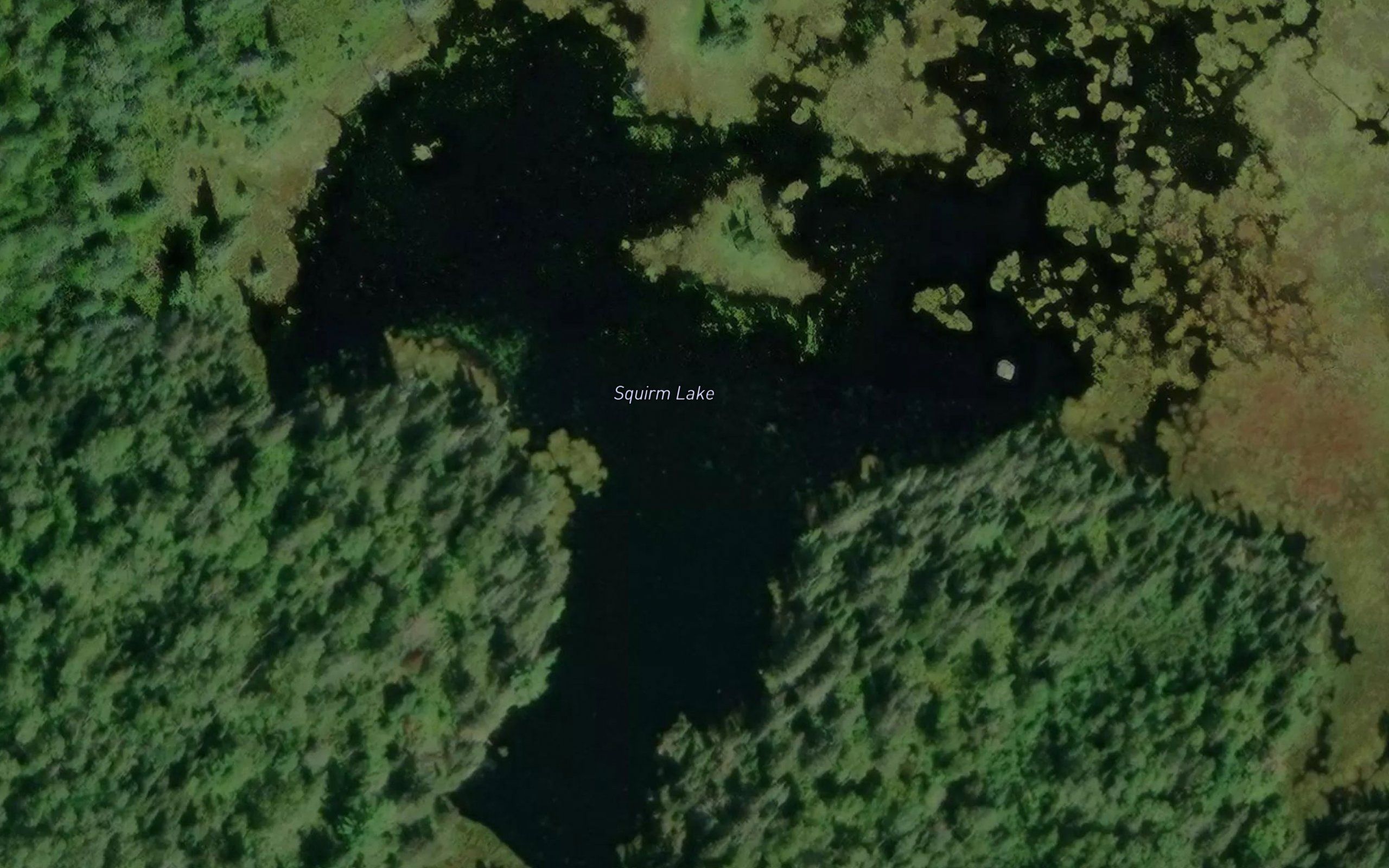 Squirm Lake